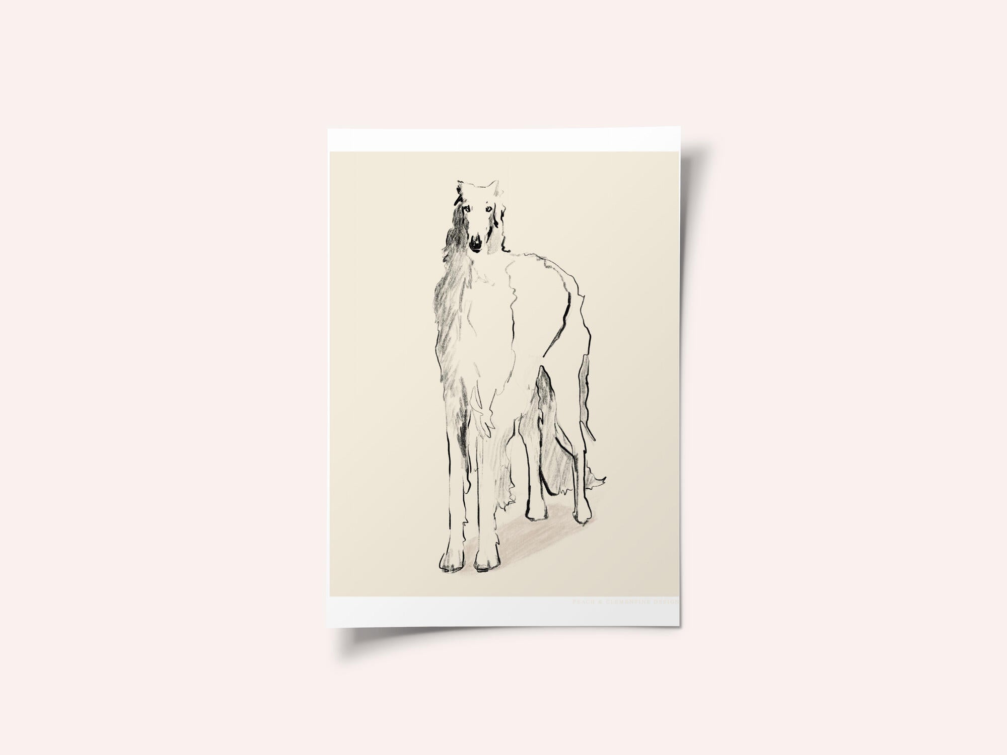 Borzoi Russian Wolfhound Pandc