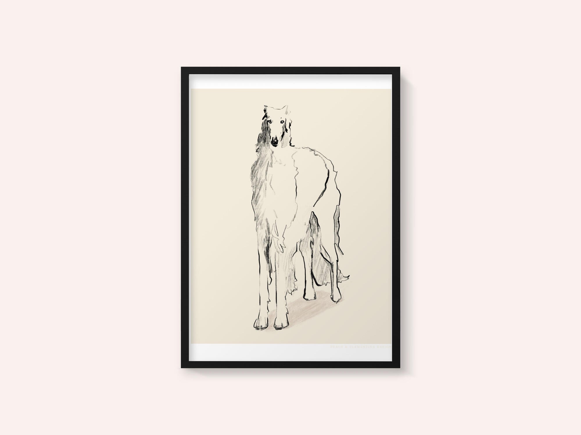 Borzoi Russian Wolfhound Pandc