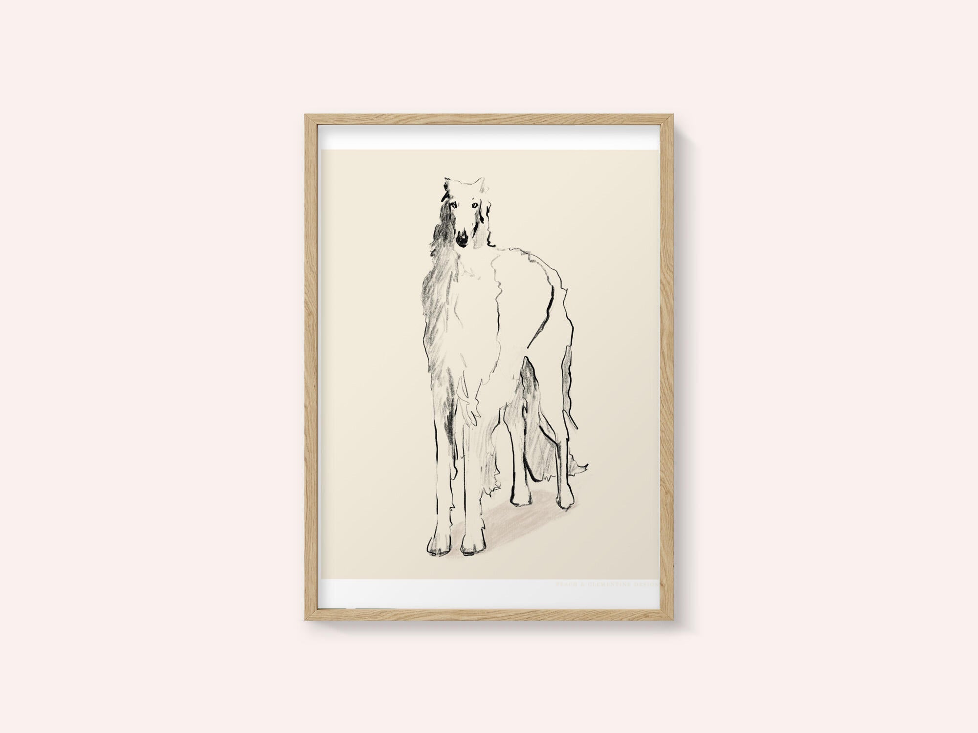 Borzoi Russian Wolfhound Pandc