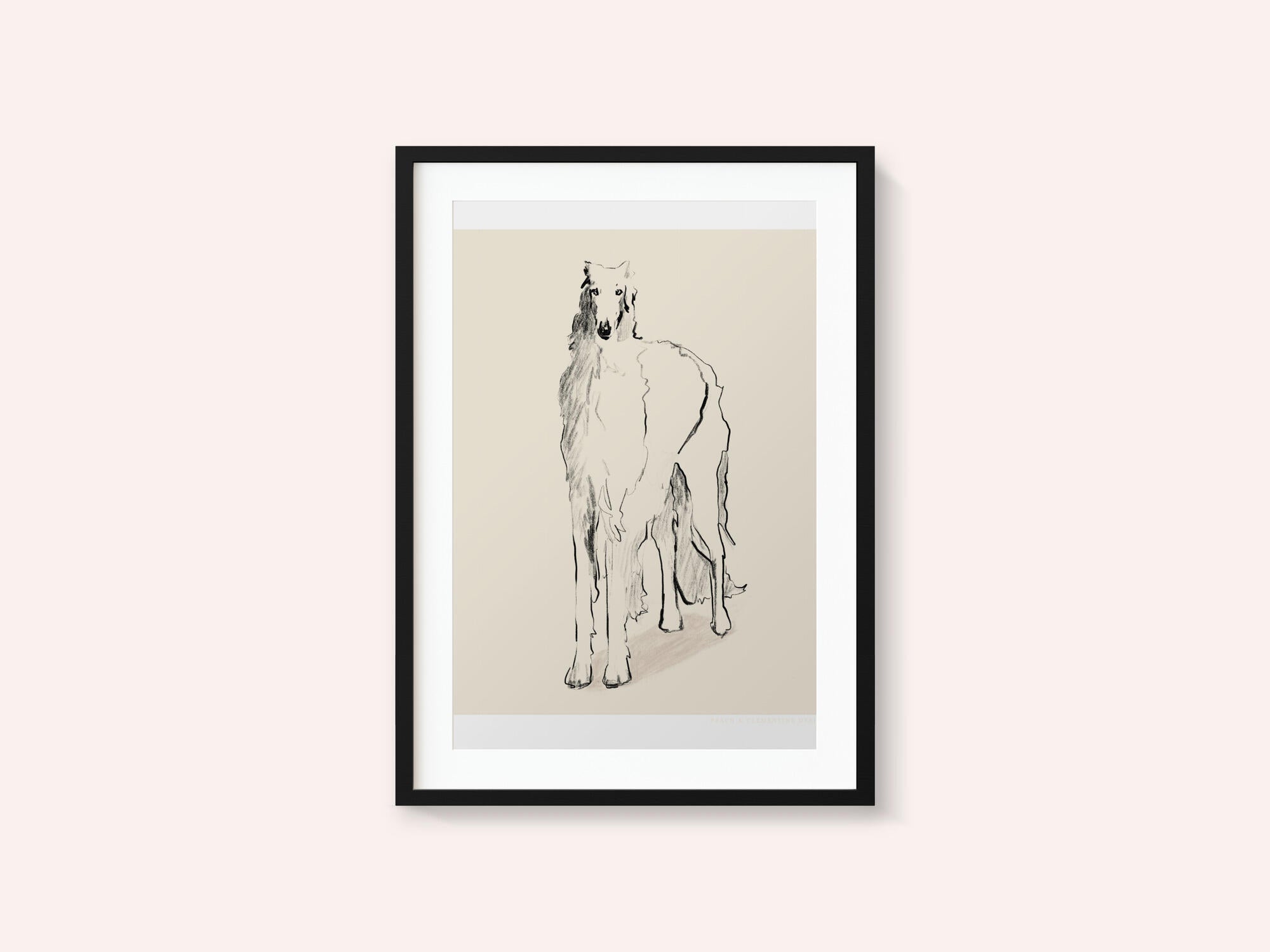 Borzoi Russian Wolfhound Pandc