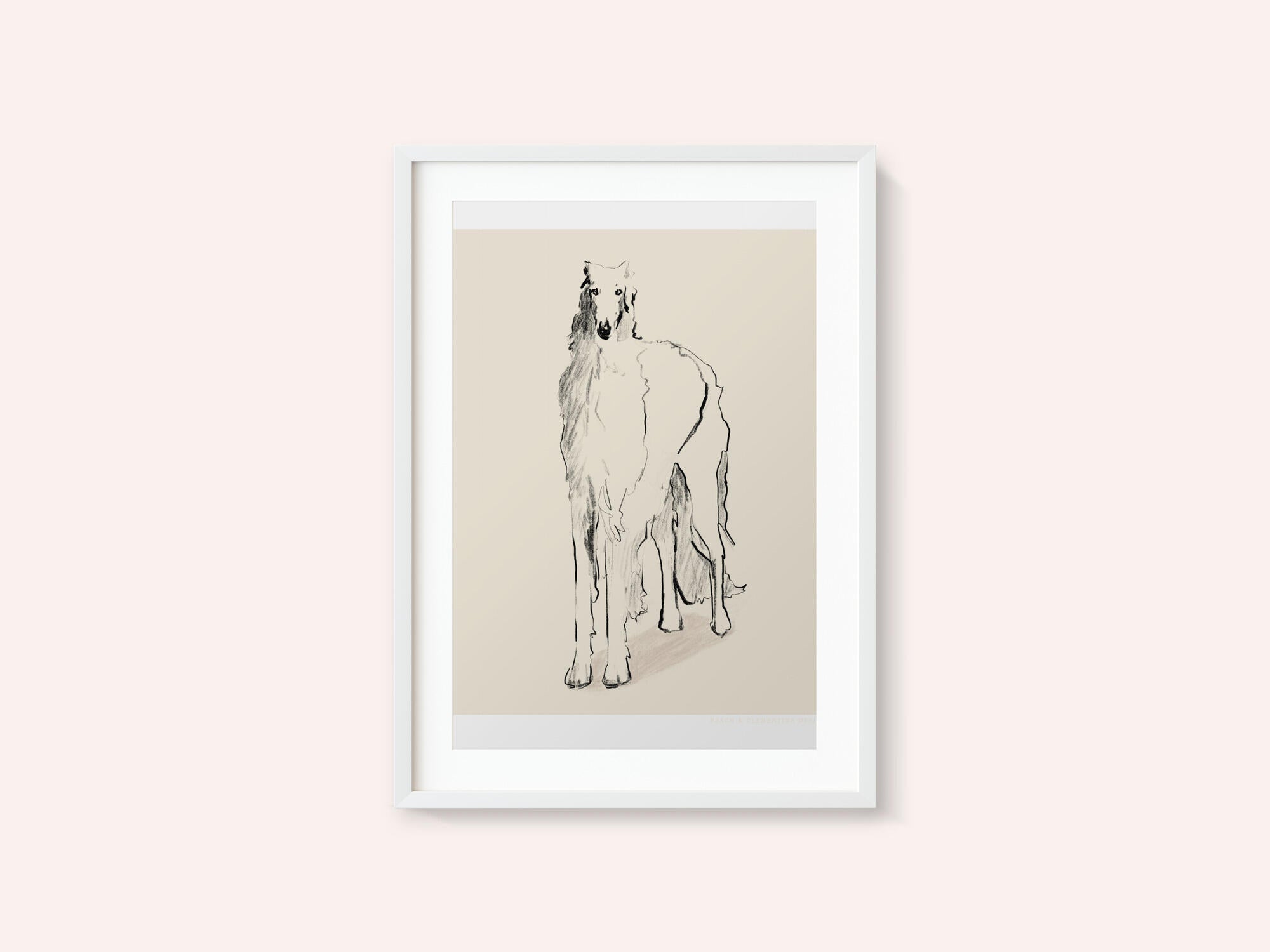 Borzoi Russian Wolfhound Pandc