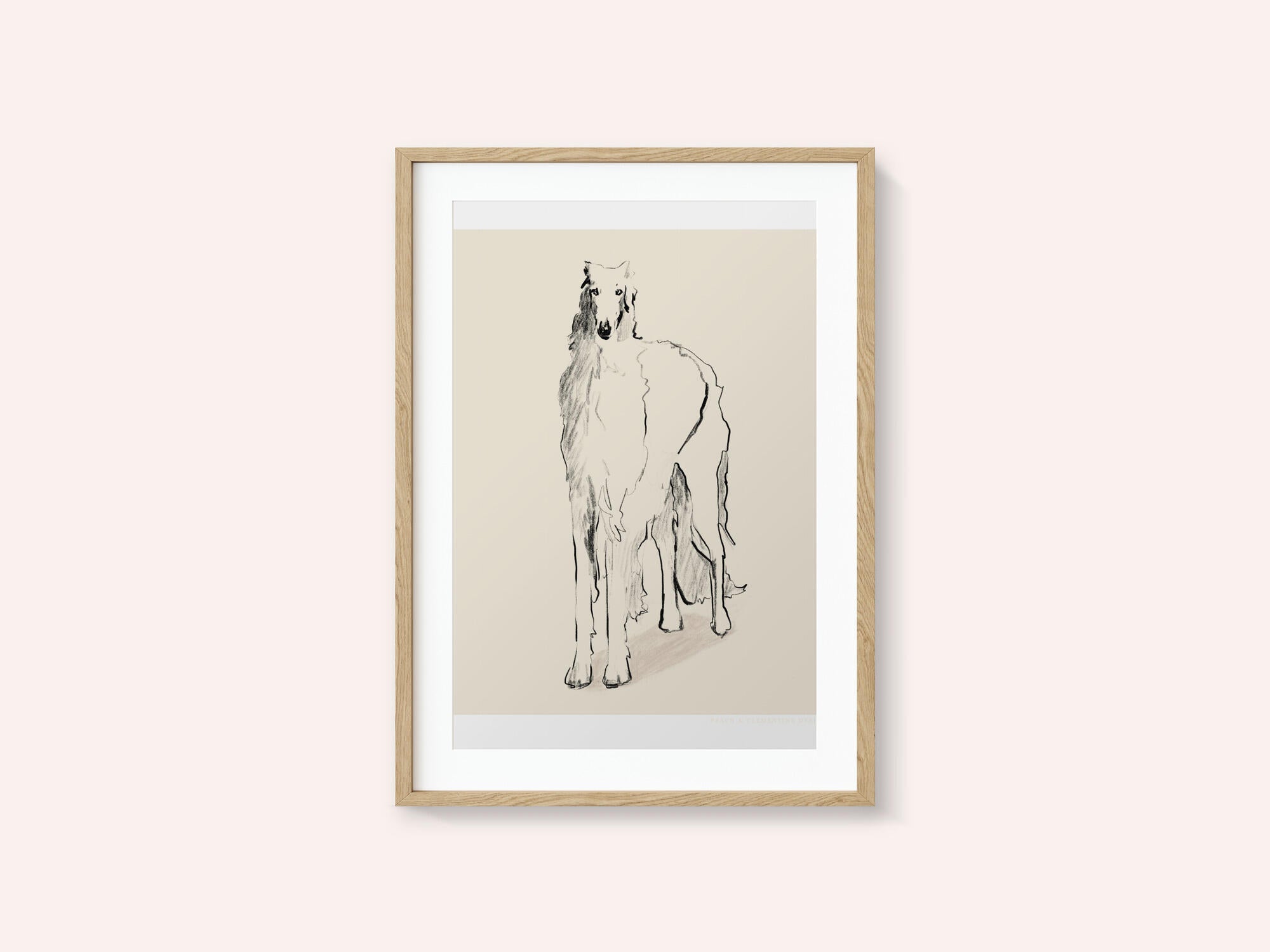 Borzoi Russian Wolfhound Pandc