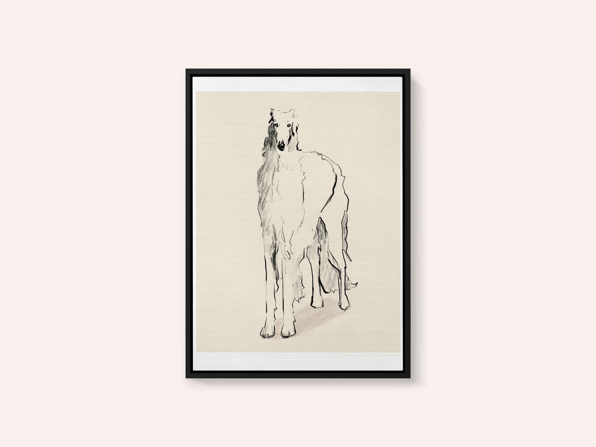 Borzoi Russian Wolfhound Pandc