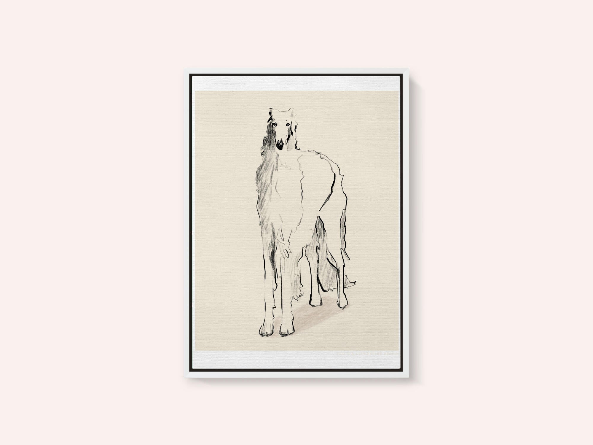 Borzoi Russian Wolfhound Pandc