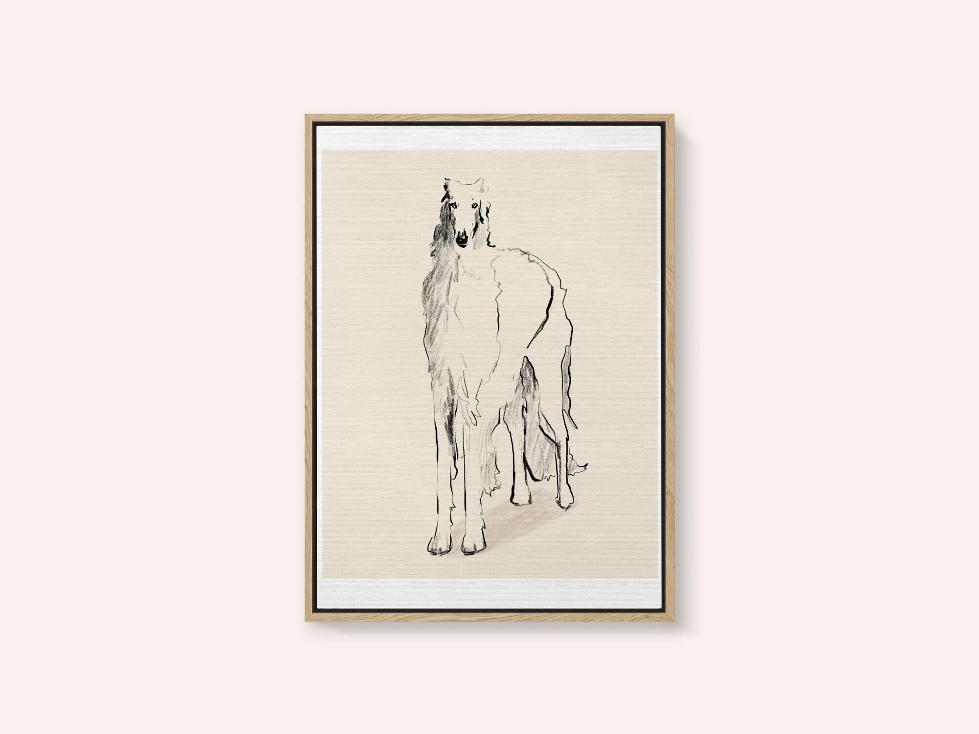 Borzoi Russian Wolfhound Pandc