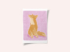 Pandc Littlefox Copy