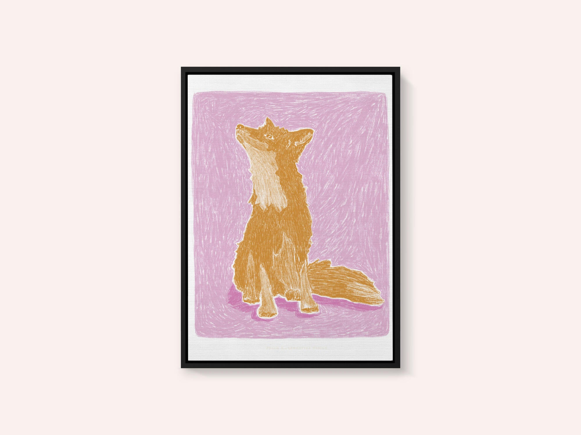 Pandc Littlefox Copy