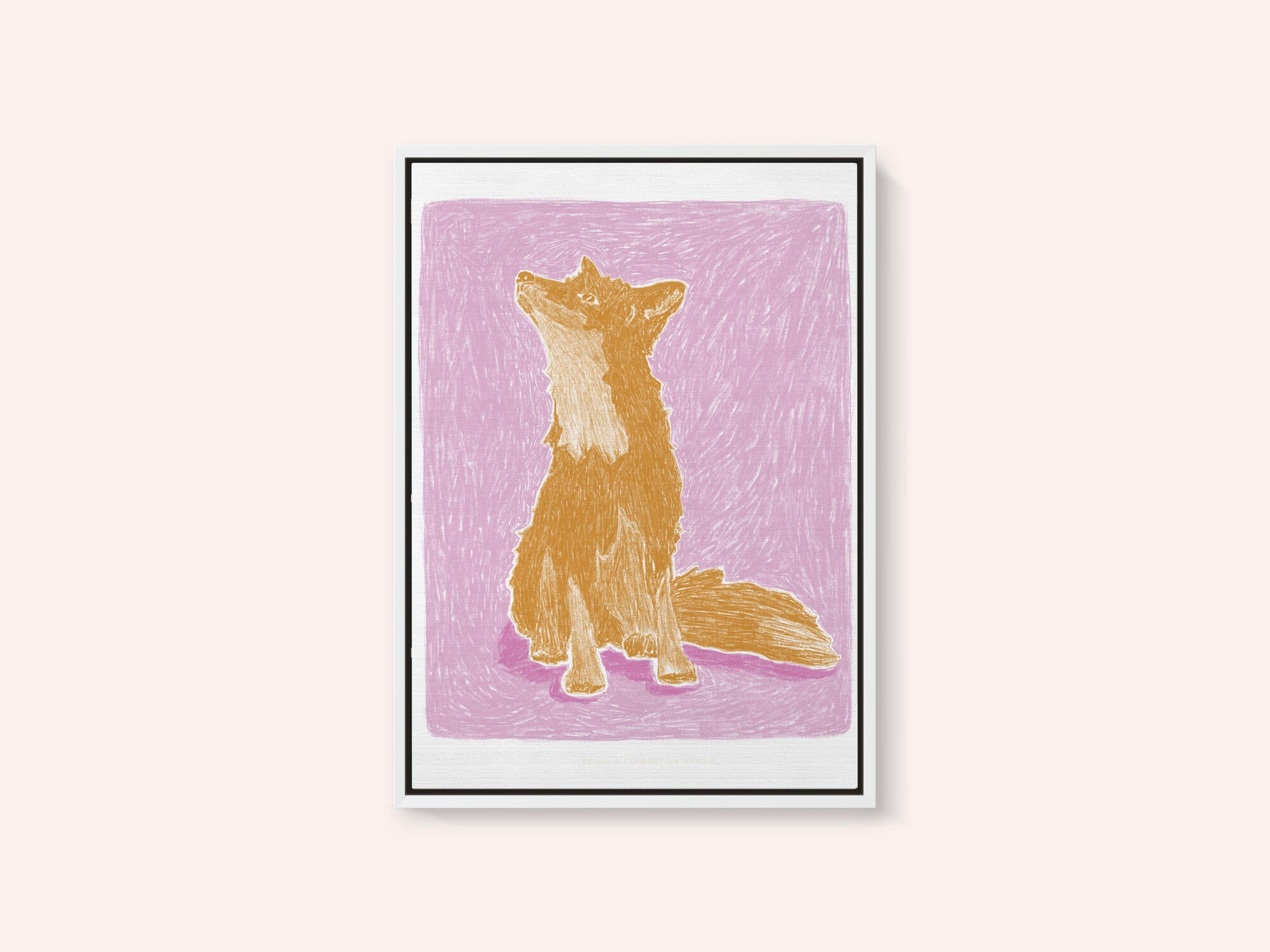 Pandc Littlefox Copy