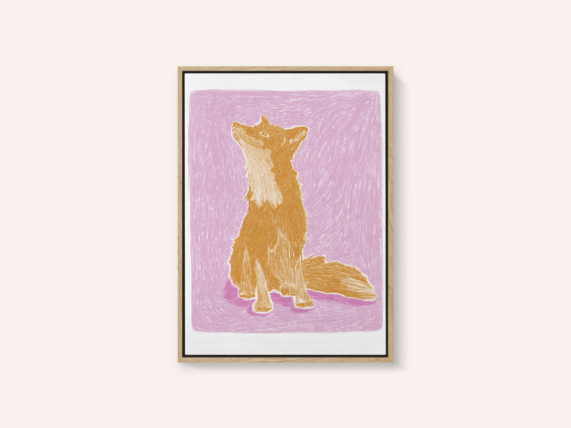 Pandc Littlefox Copy