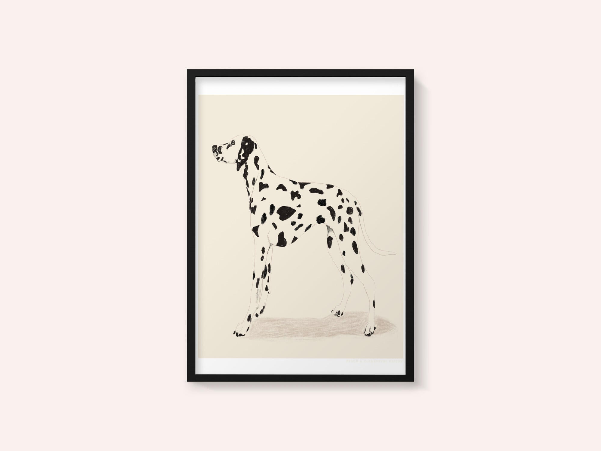 Pandc Dalmation