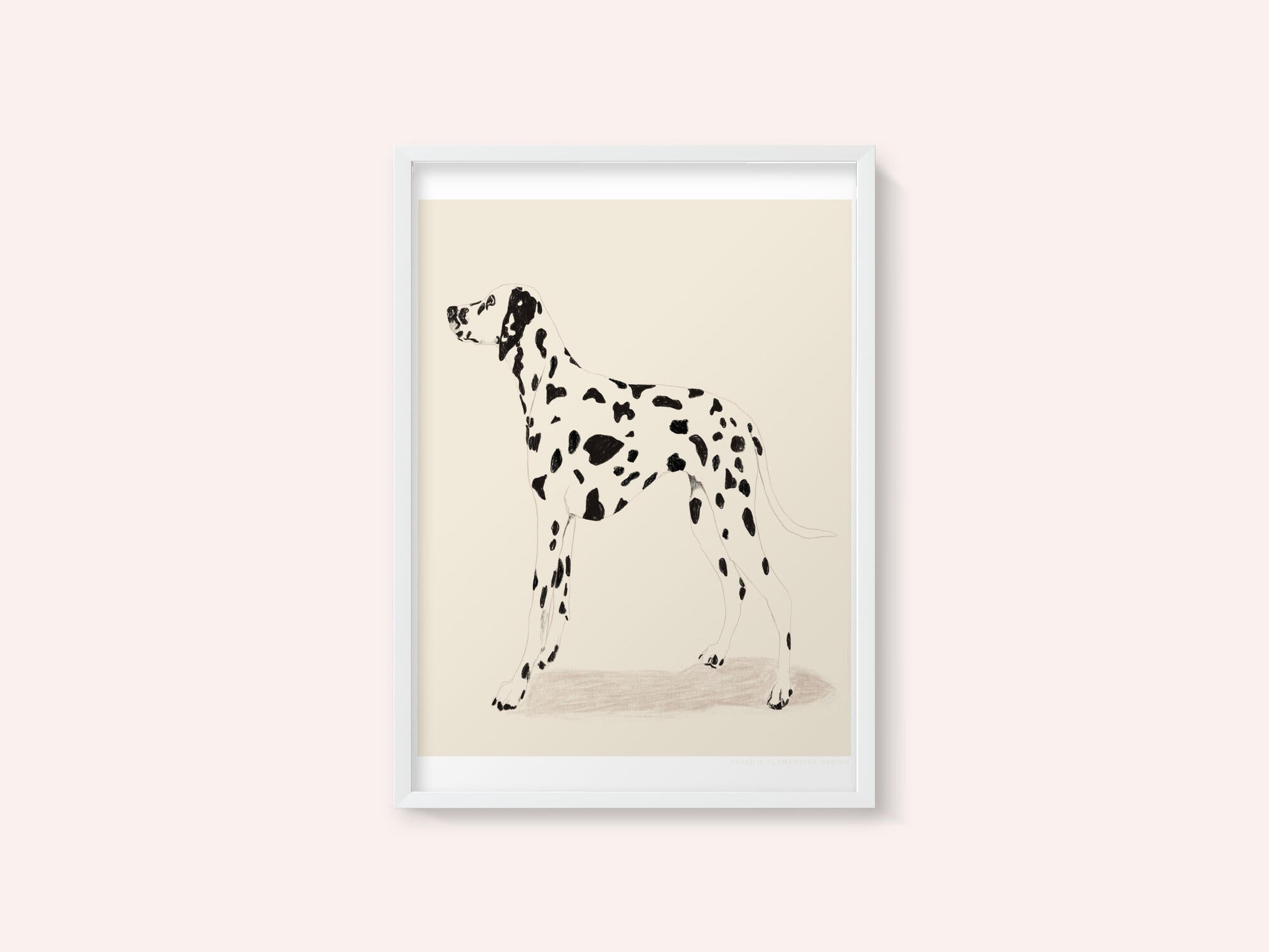 Pandc Dalmation