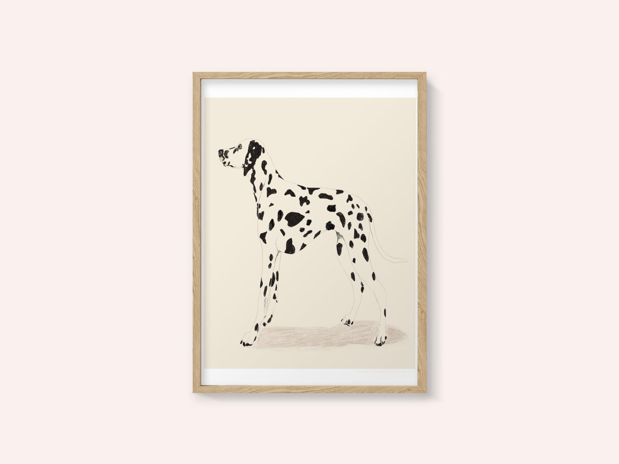 Pandc Dalmation
