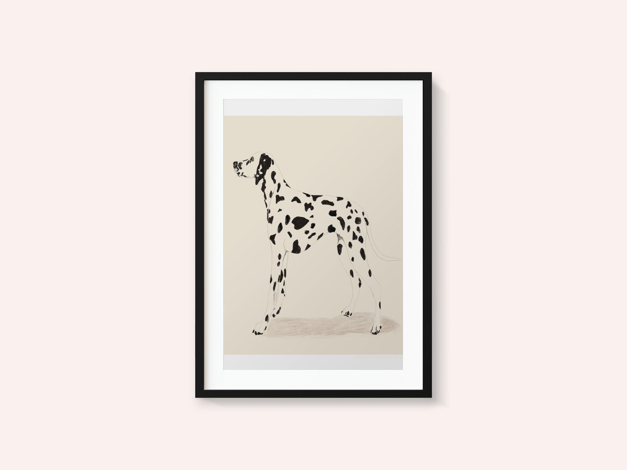 Pandc Dalmation