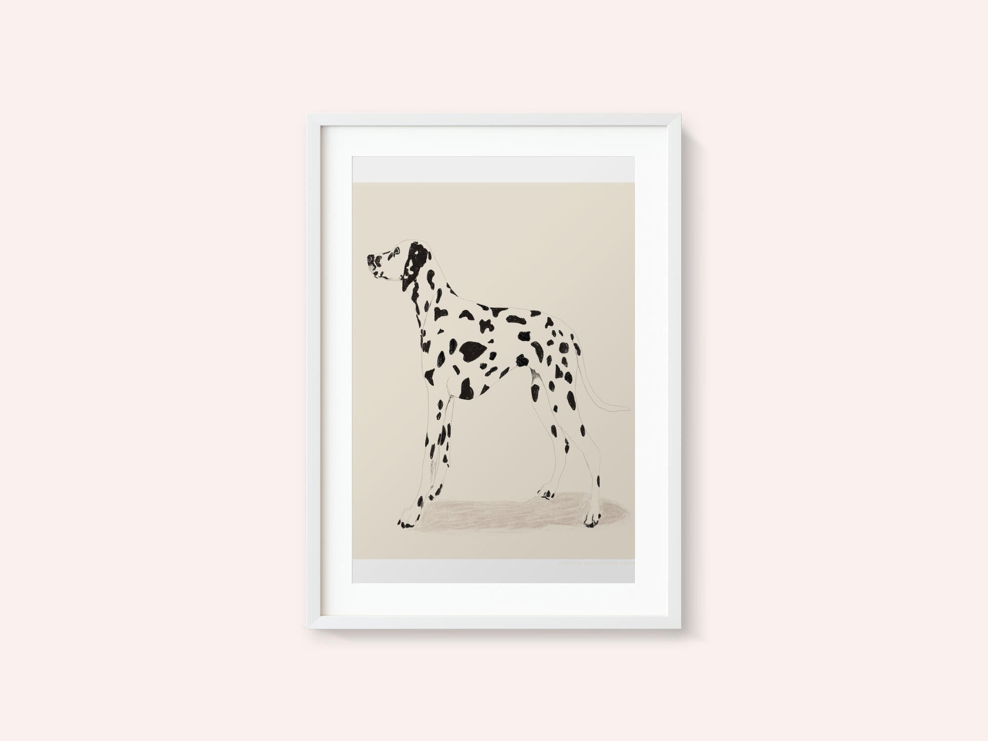 Pandc Dalmation