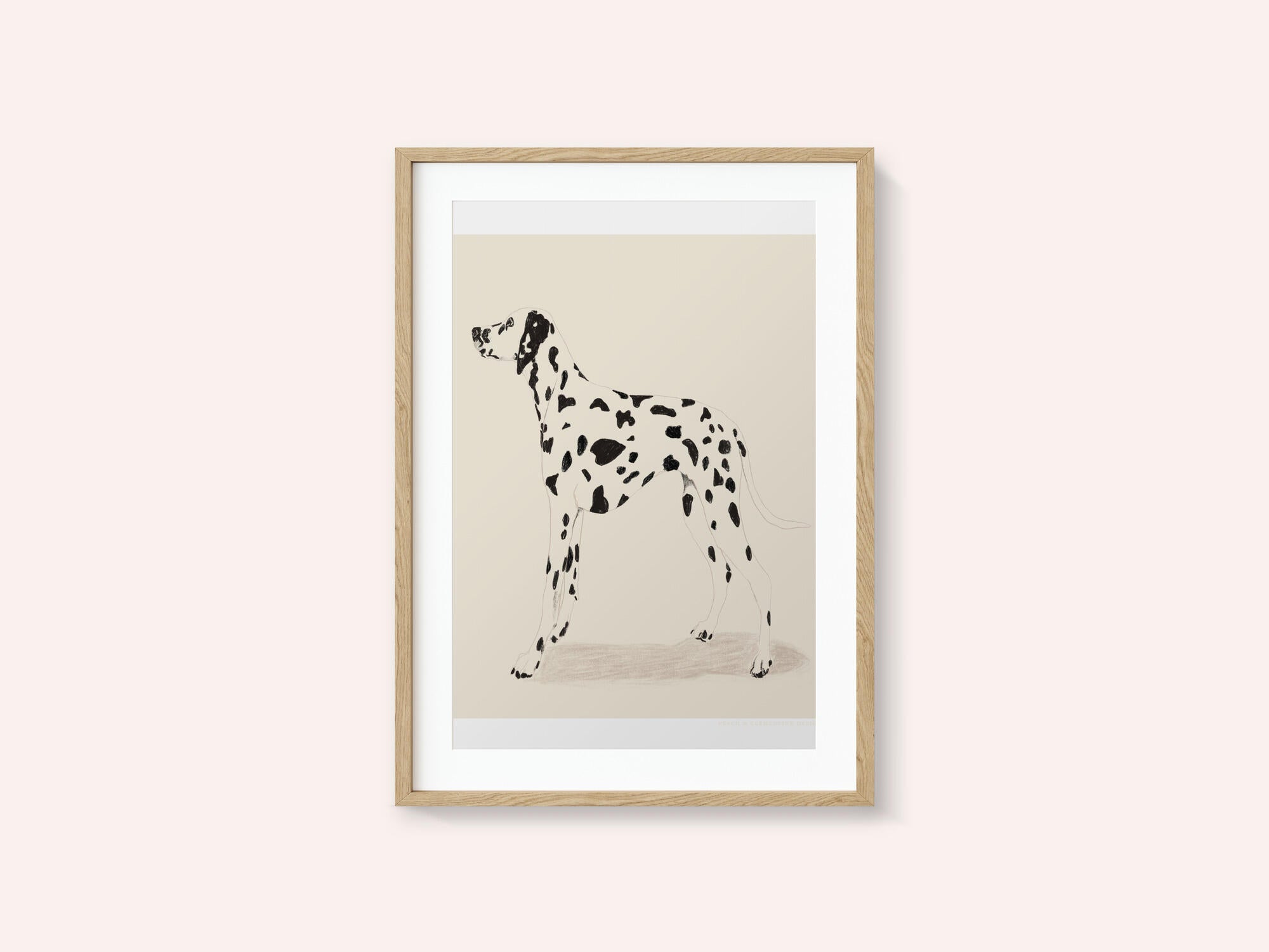 Pandc Dalmation
