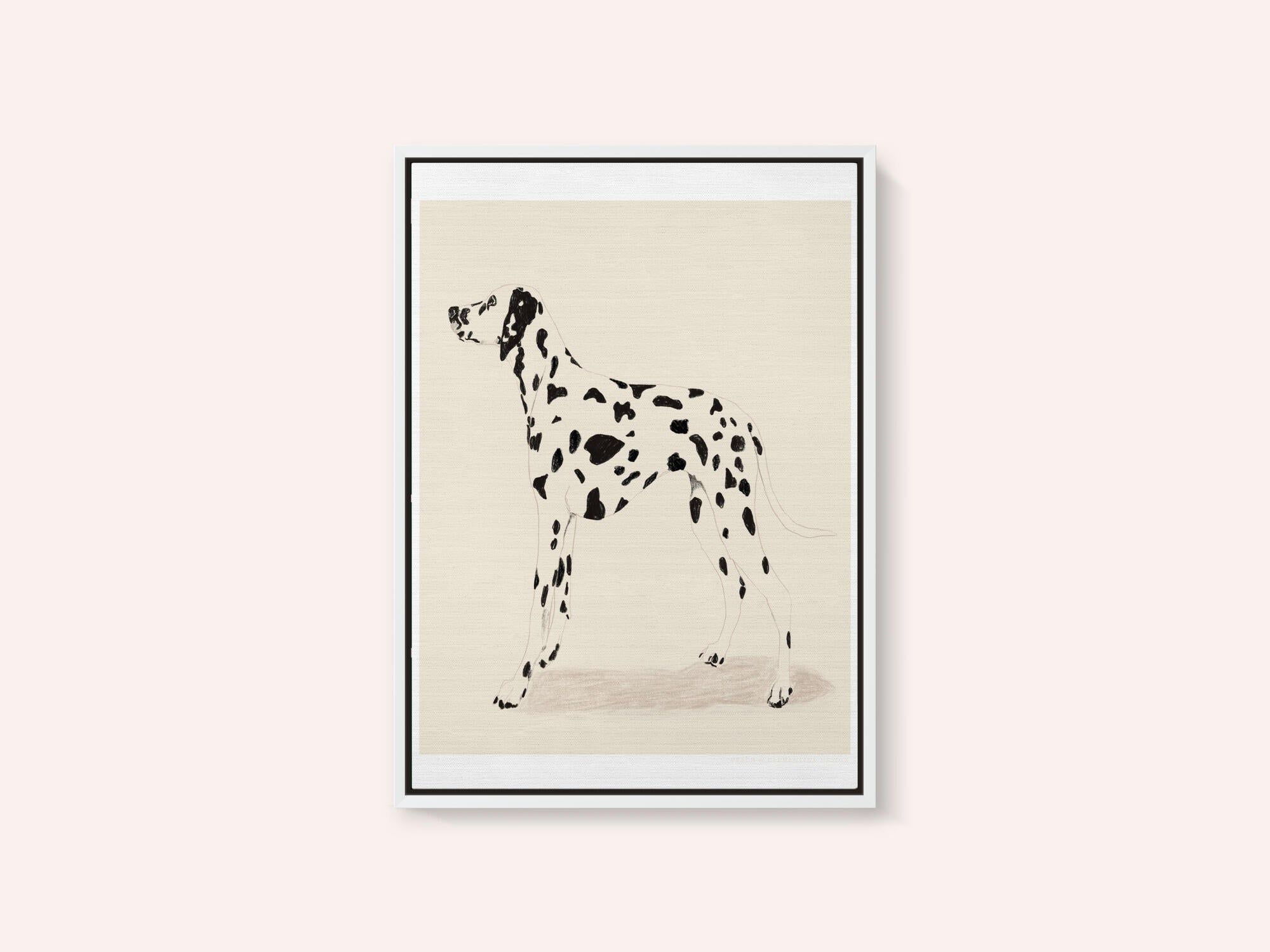 Pandc Dalmation