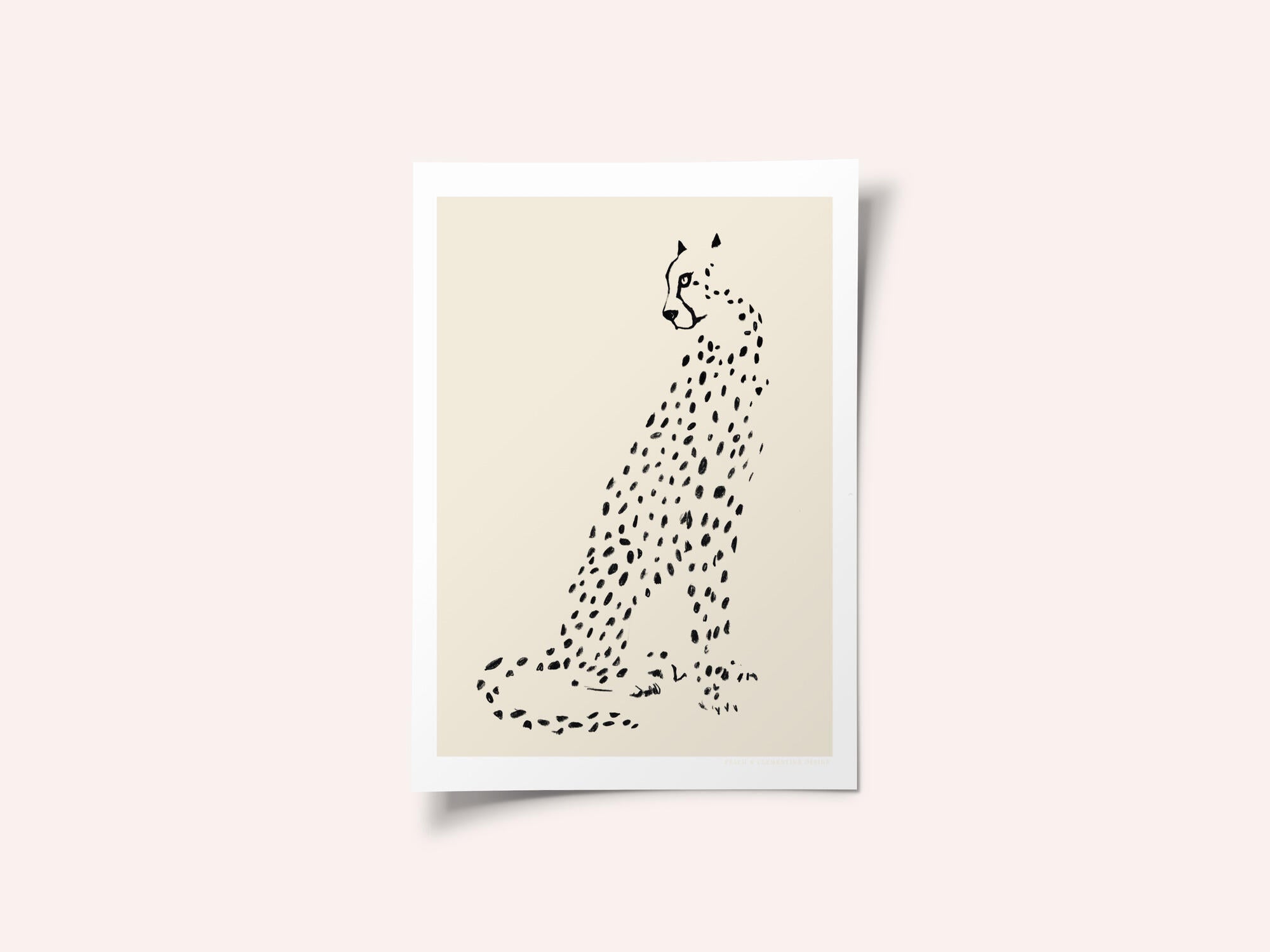 Pandc Leopard