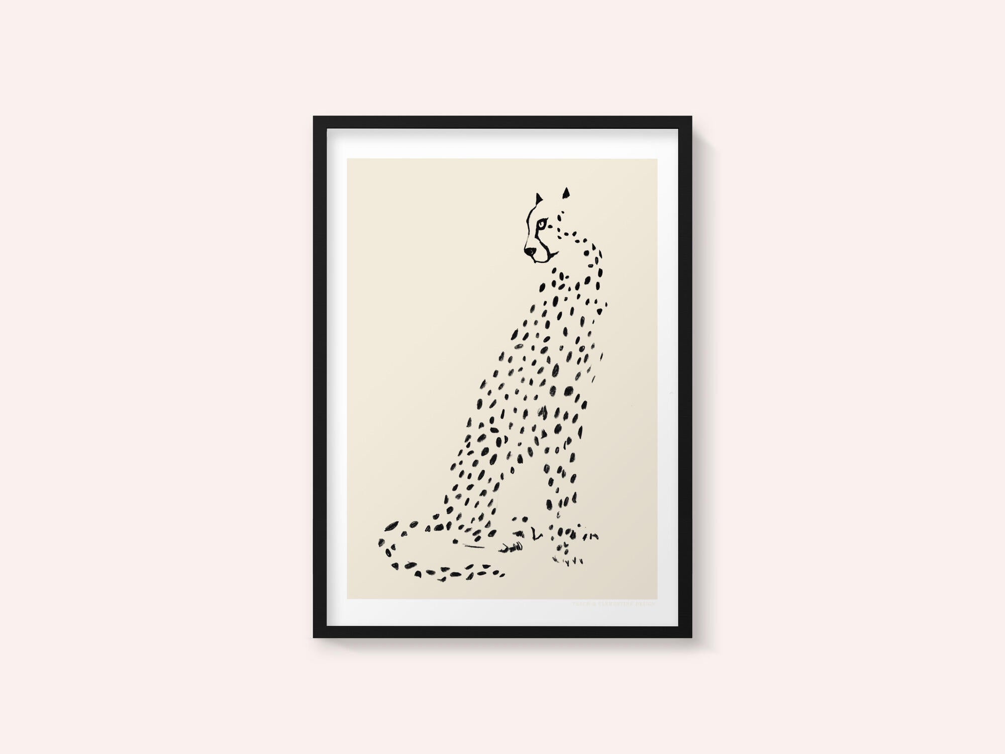 Pandc Leopard
