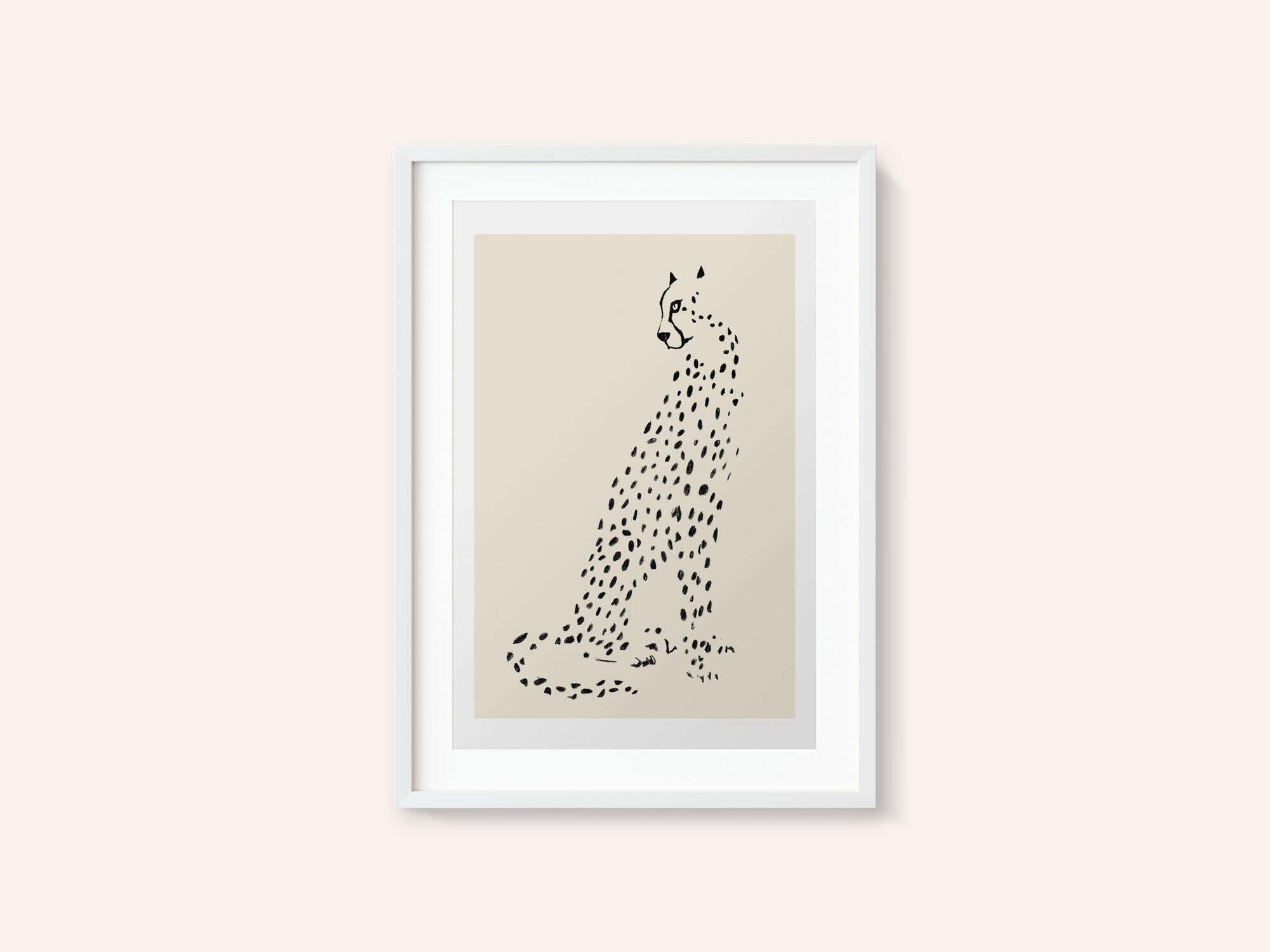 Pandc Leopard