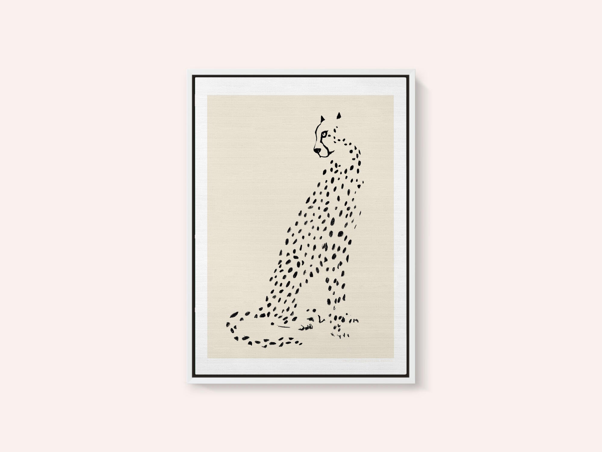 Pandc Leopard