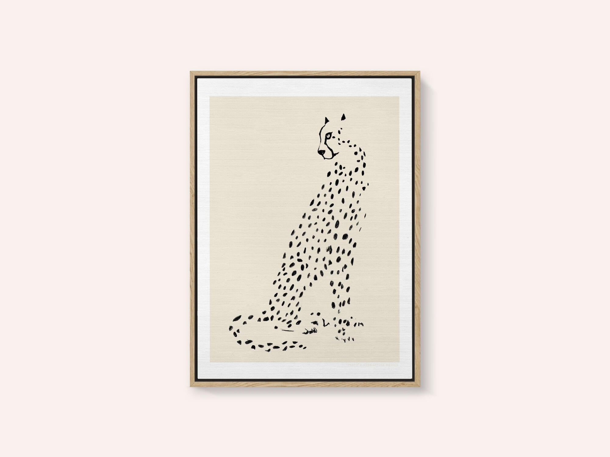 Pandc Leopard
