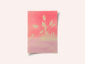 Raspberry Dream