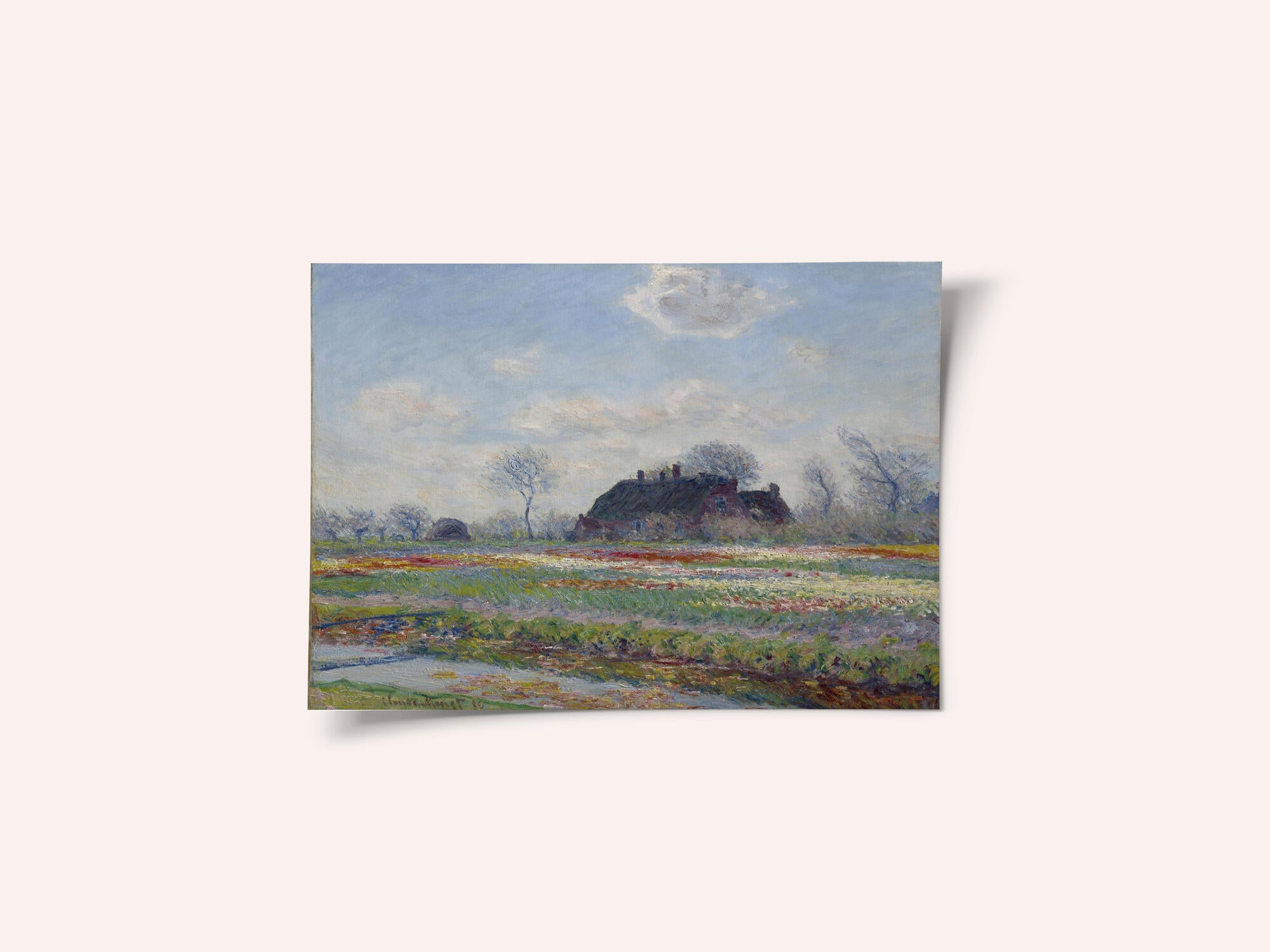 Claude Monet's Tulip Fields At Sassenheim, (1886)