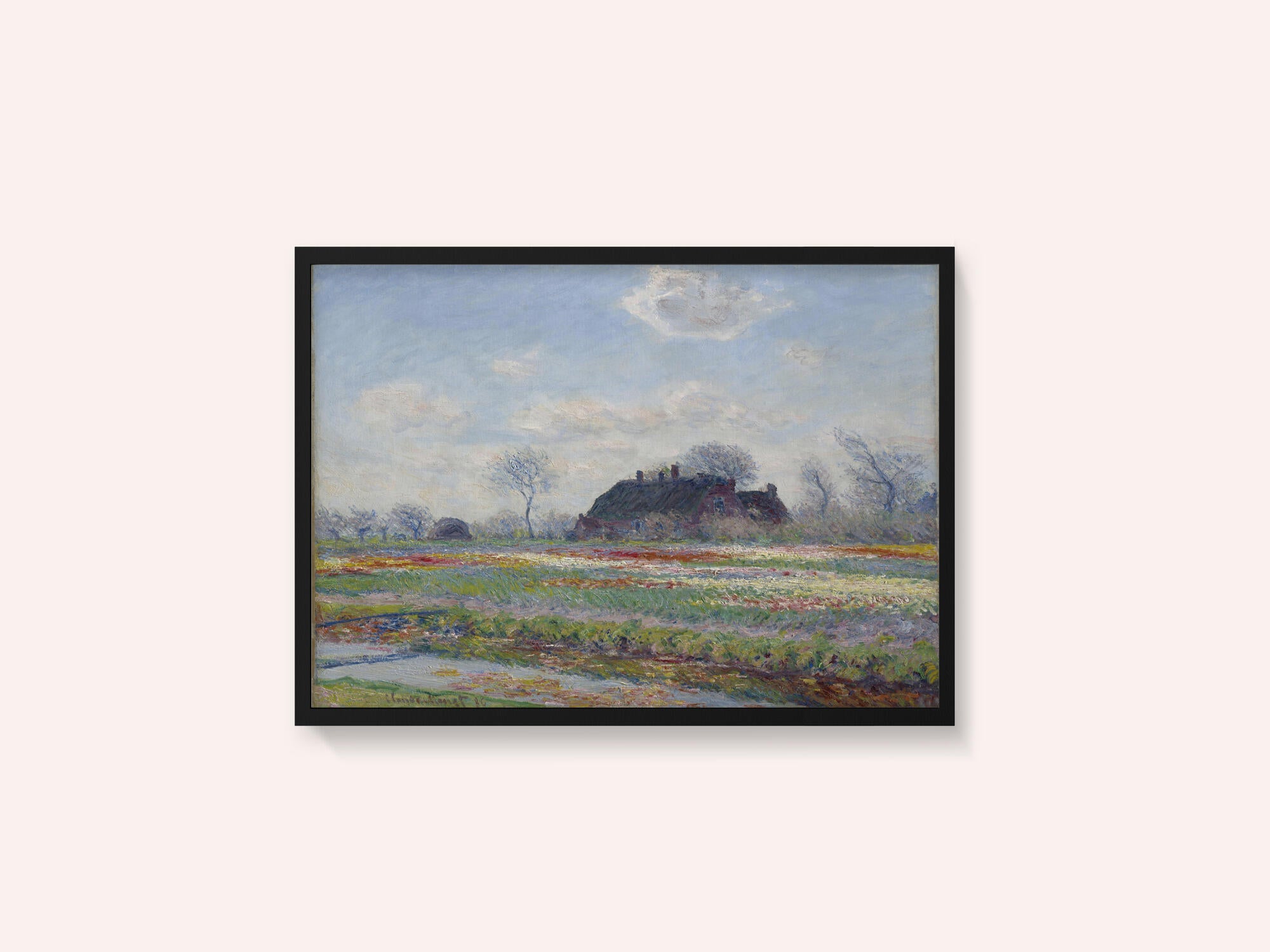 Claude Monet's Tulip Fields At Sassenheim, (1886)