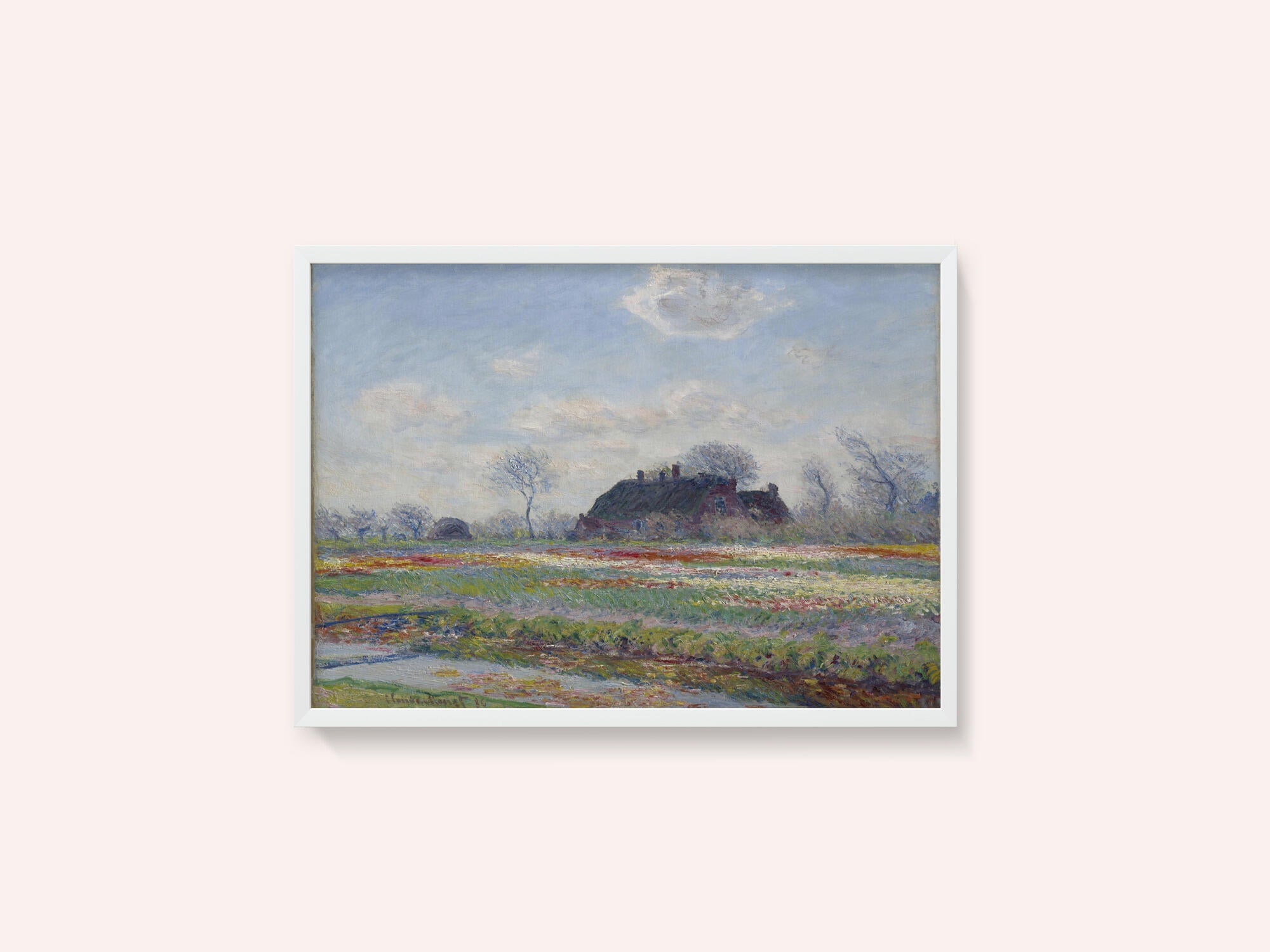 Claude Monet's Tulip Fields At Sassenheim, (1886)