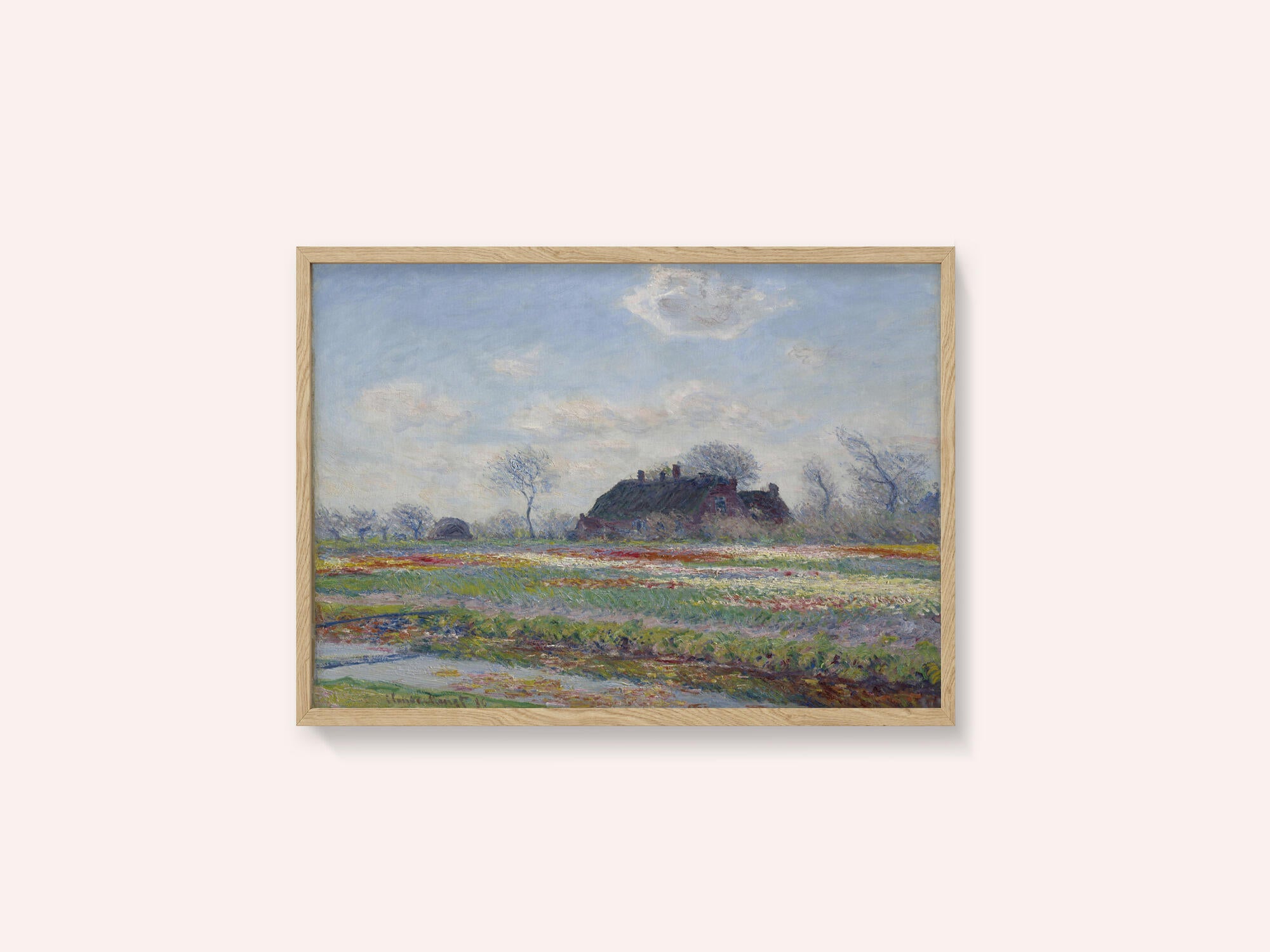 Claude Monet's Tulip Fields At Sassenheim, (1886)
