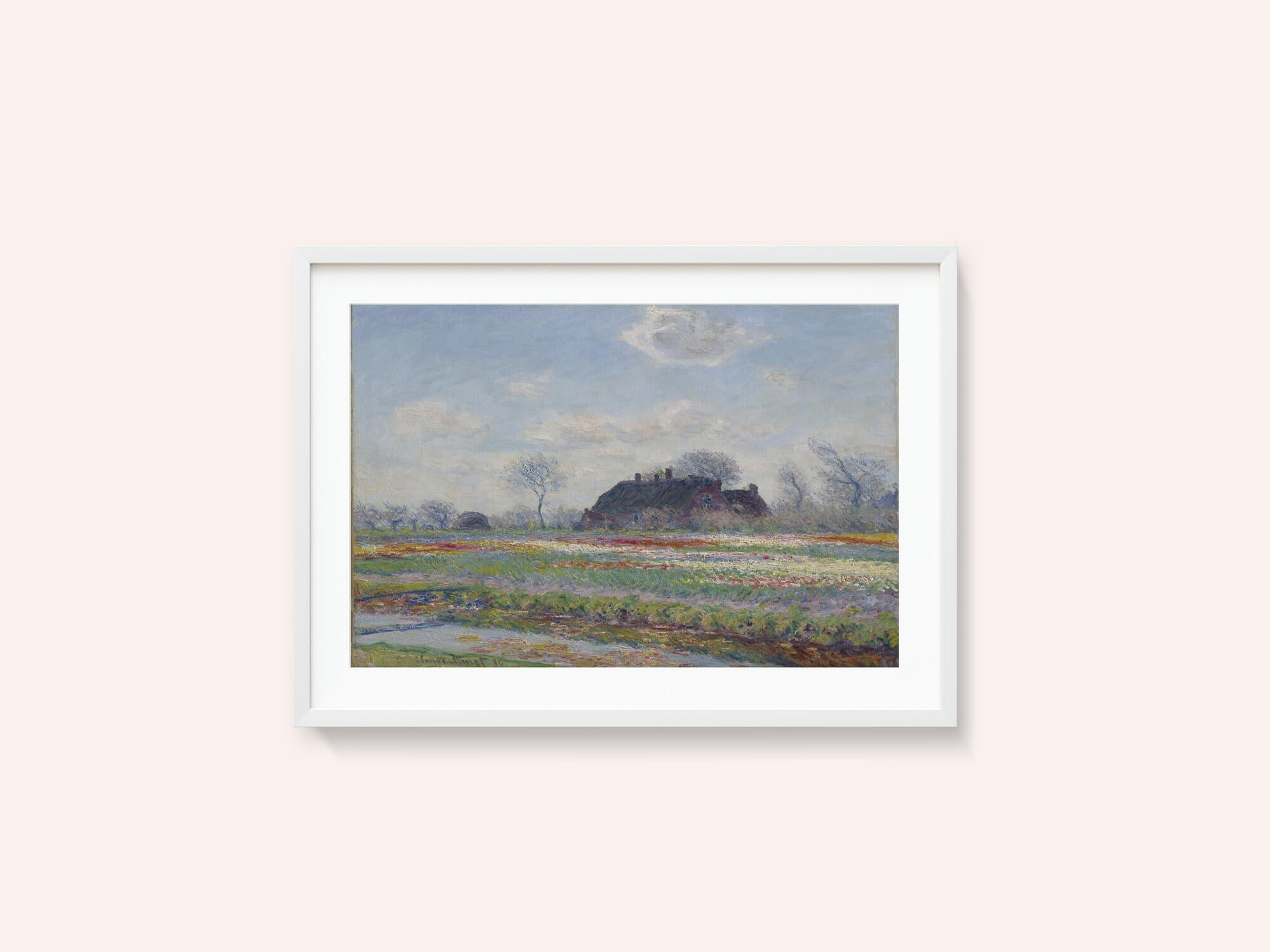 Claude Monet's Tulip Fields At Sassenheim, (1886)