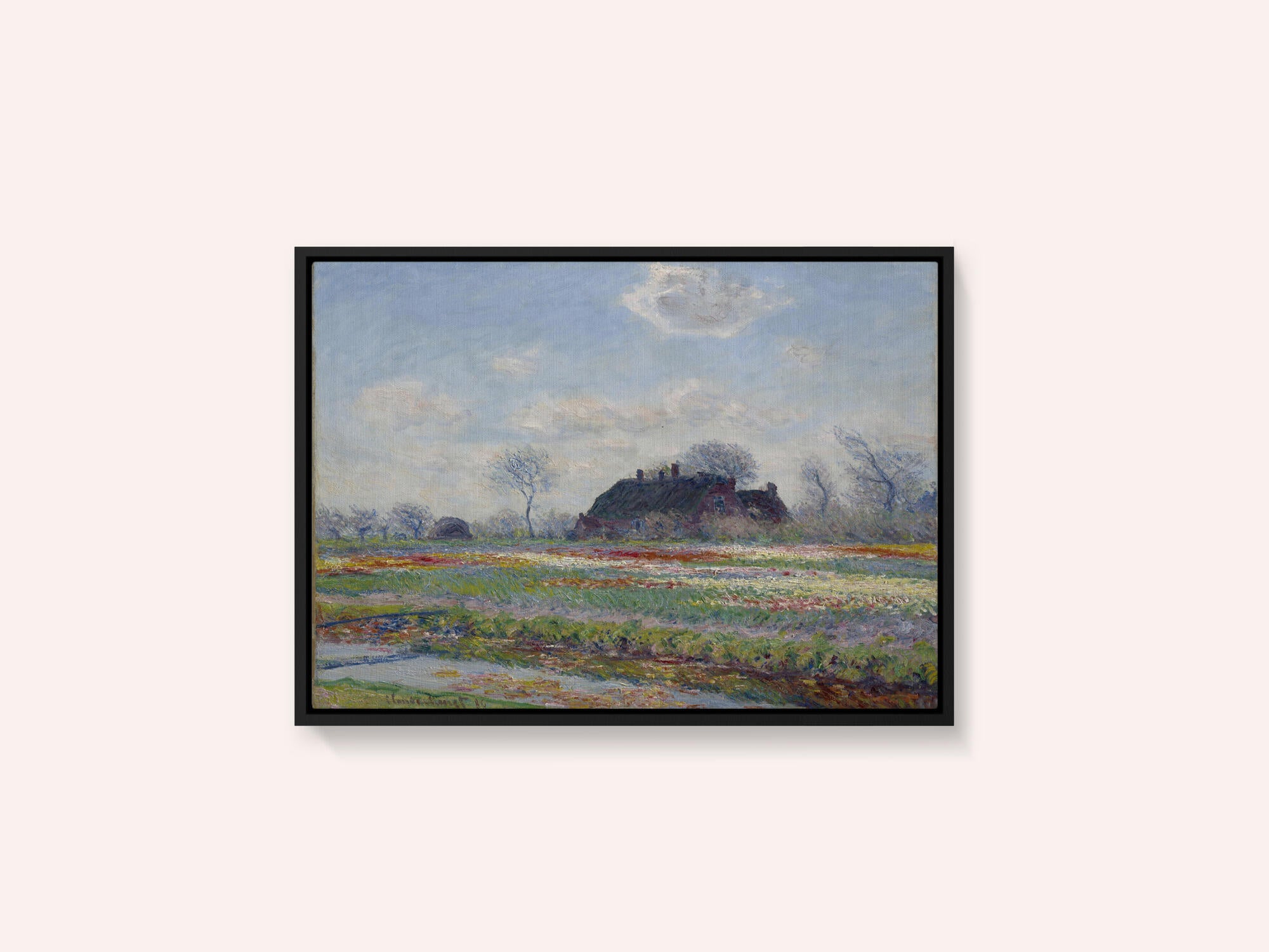 Claude Monet's Tulip Fields At Sassenheim, (1886)