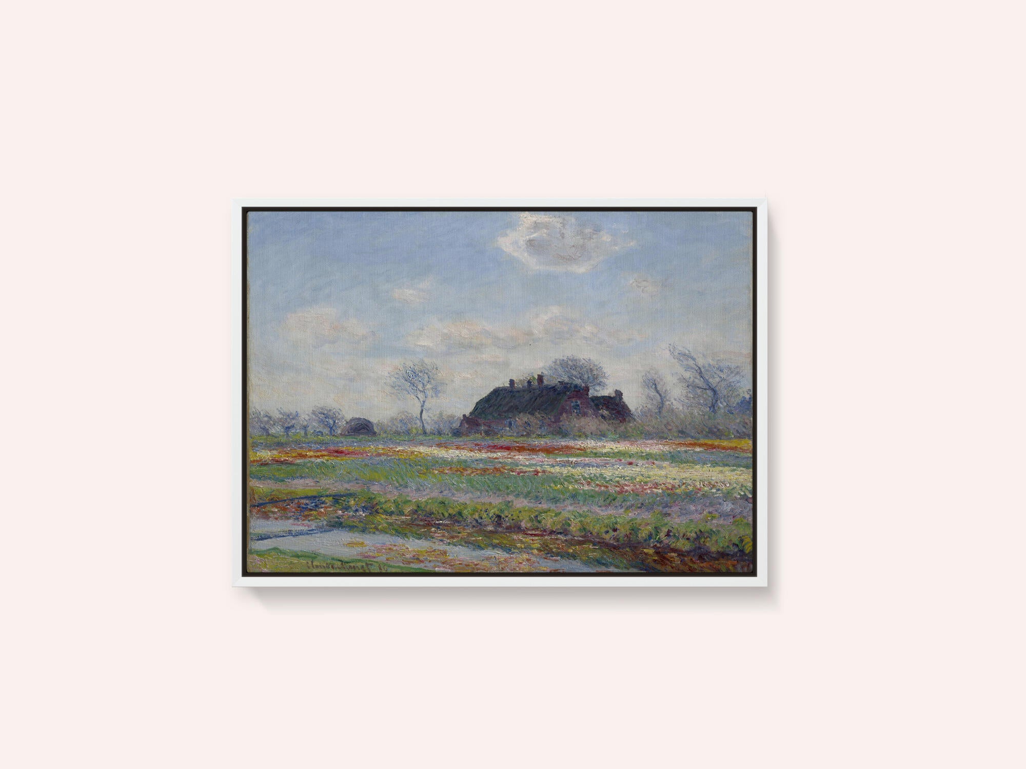 Claude Monet's Tulip Fields At Sassenheim, (1886)