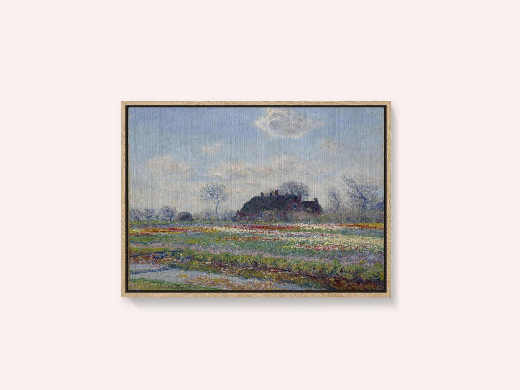 Claude Monet's Tulip Fields At Sassenheim, (1886)