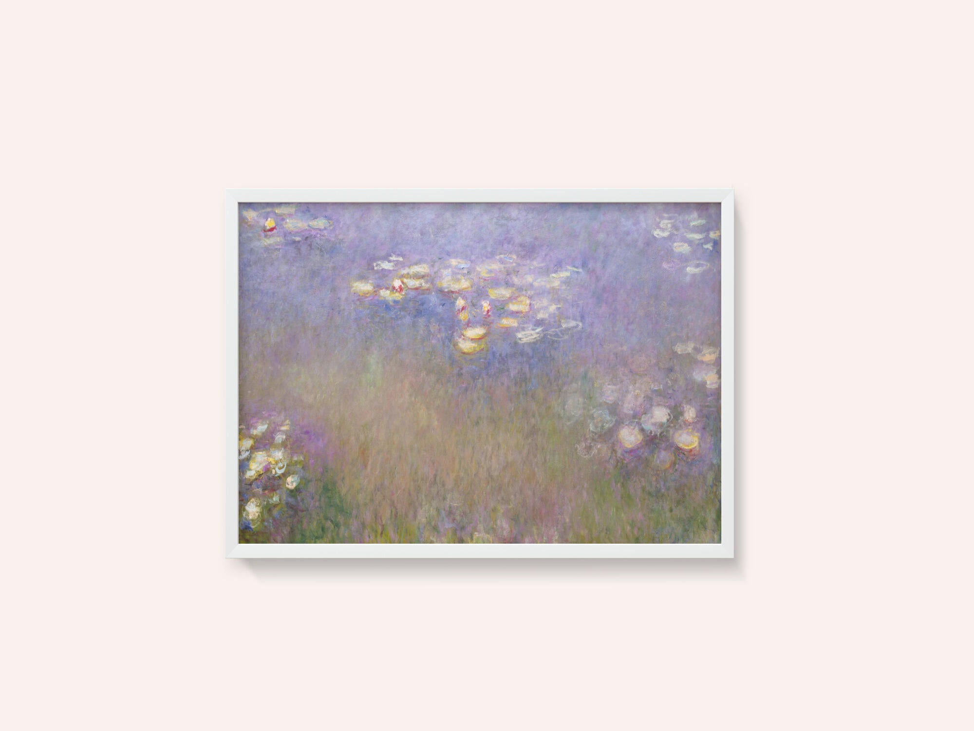 Claude Monet's Water Lilies