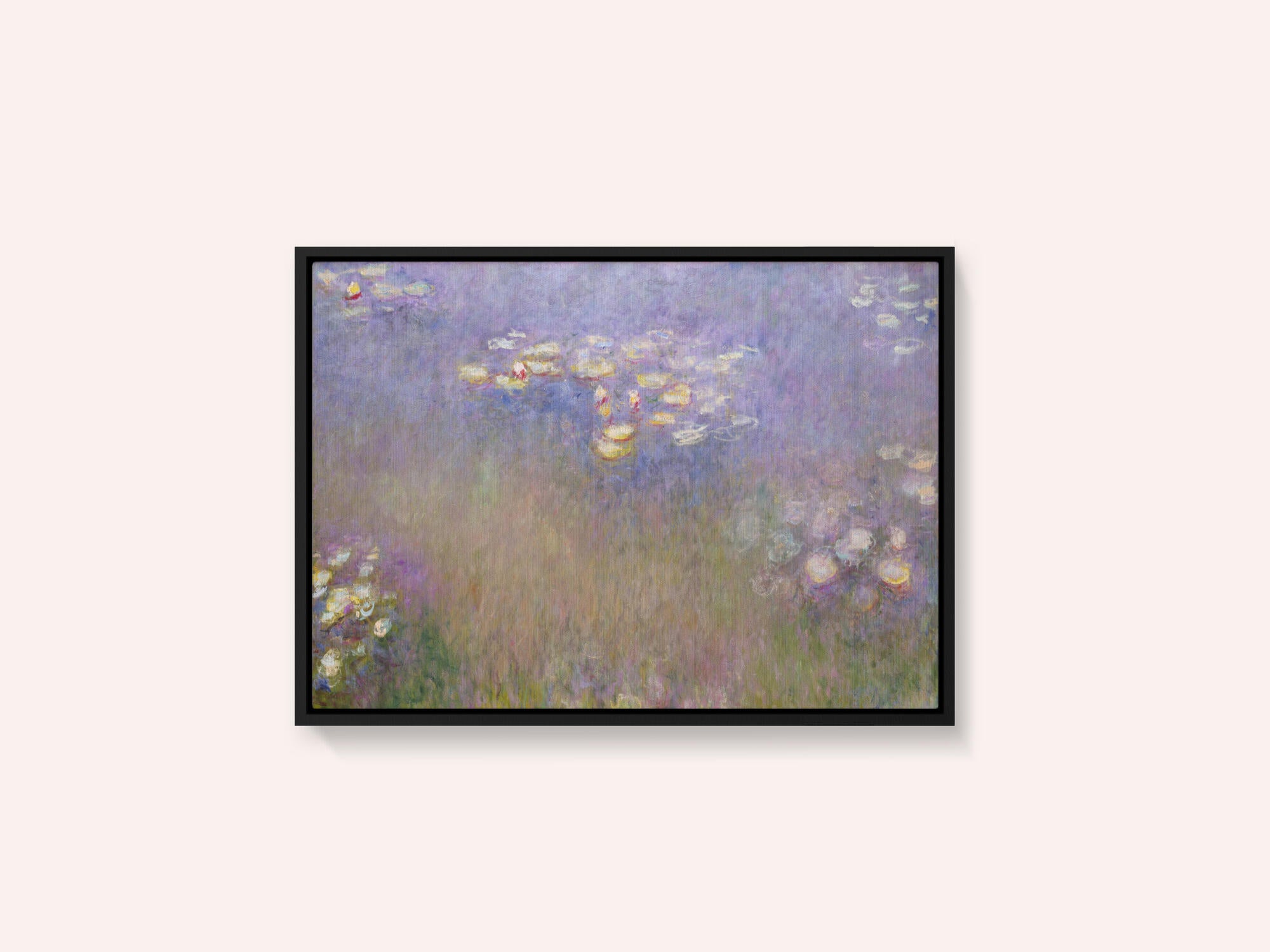 Claude Monet's Water Lilies