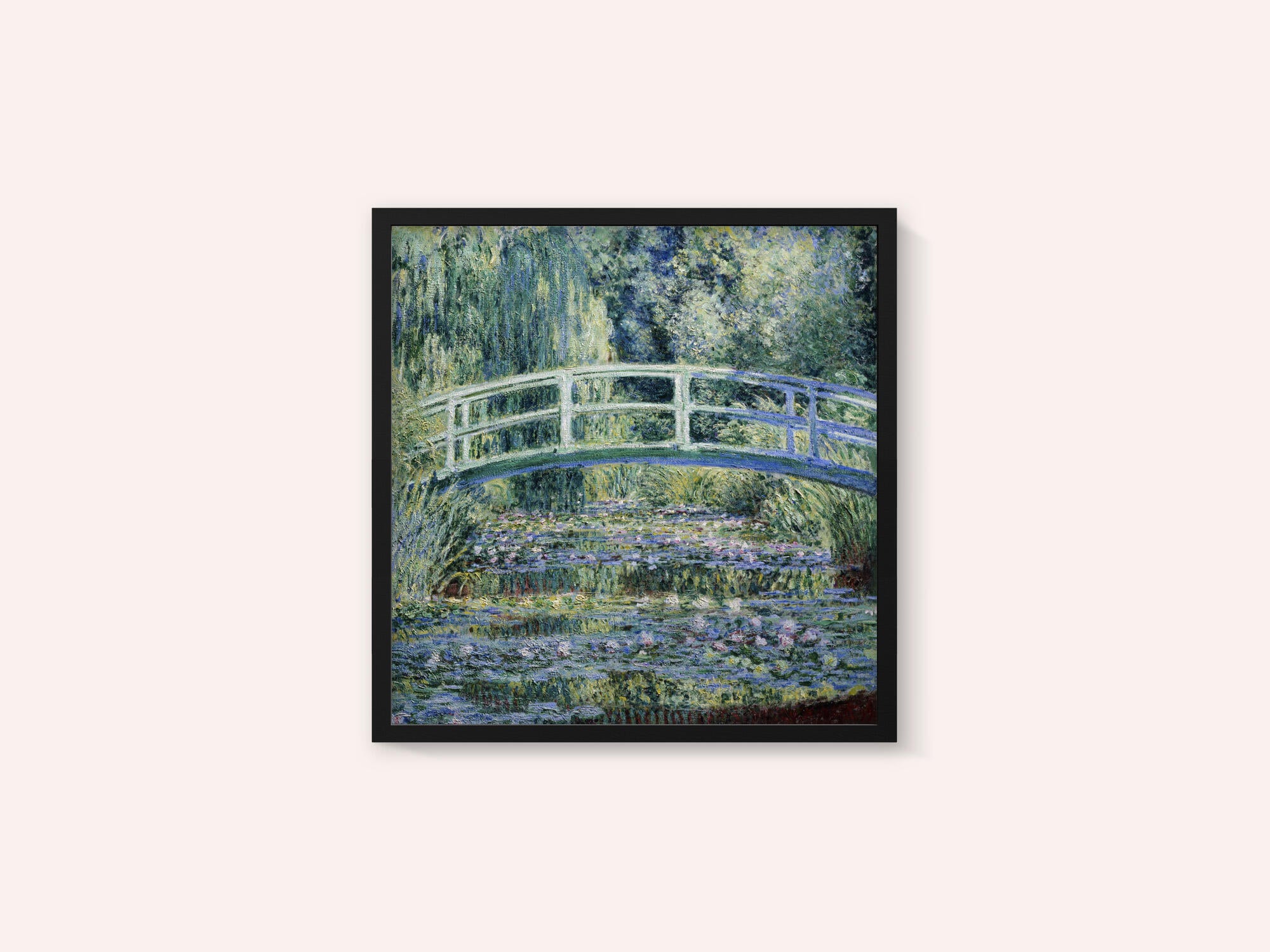 Water Lily Pond