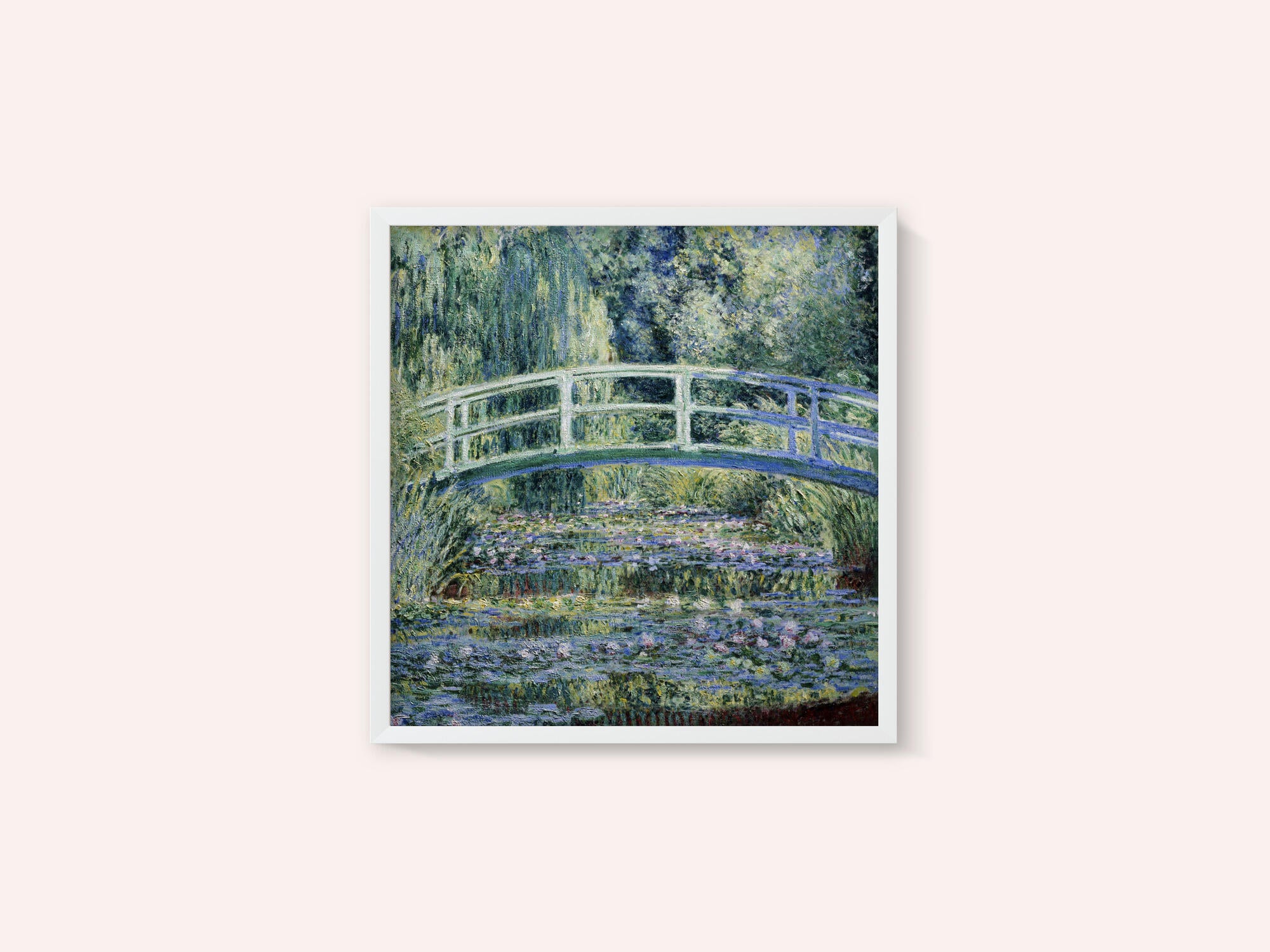 Water Lily Pond