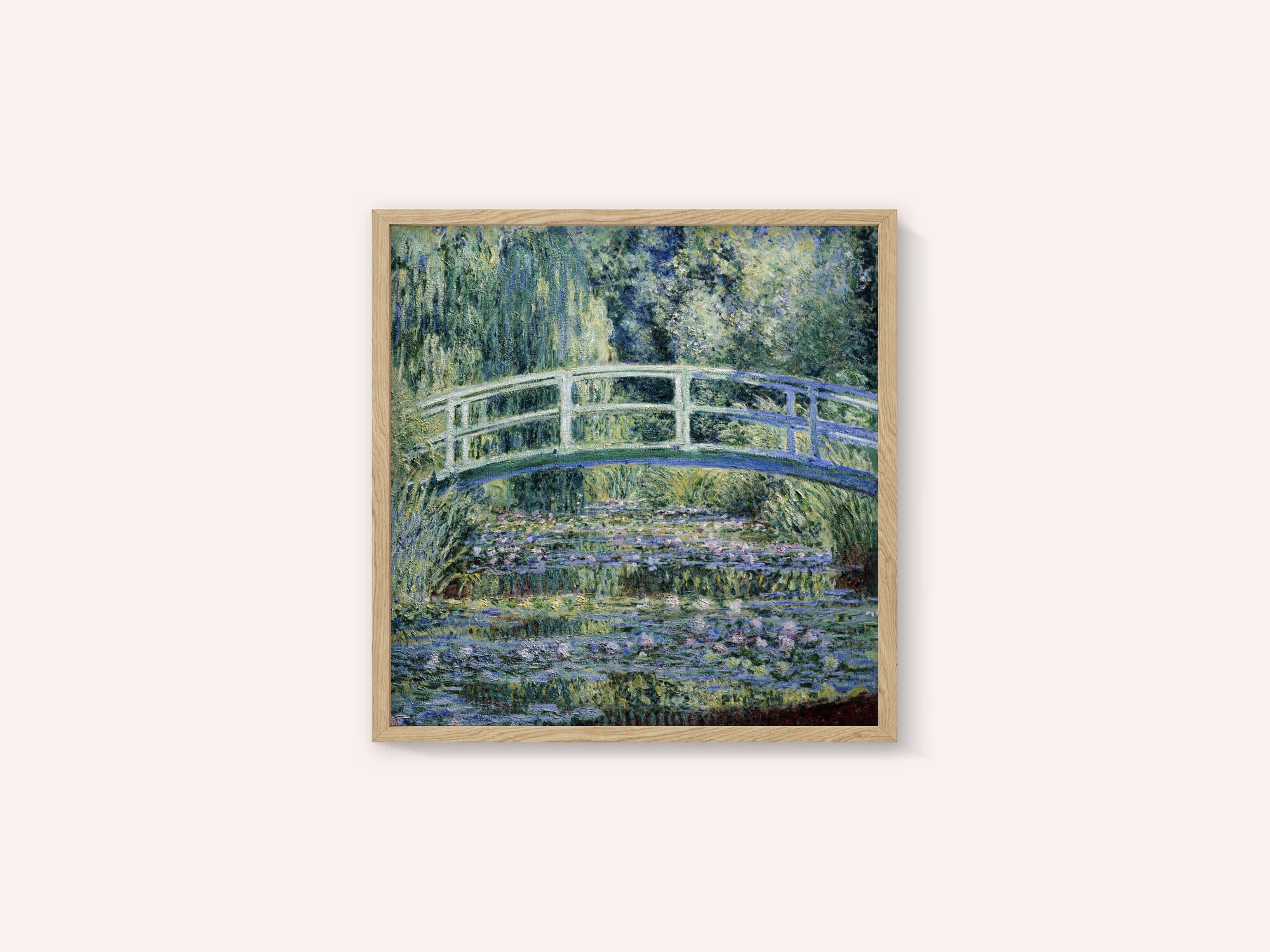 Water Lily Pond