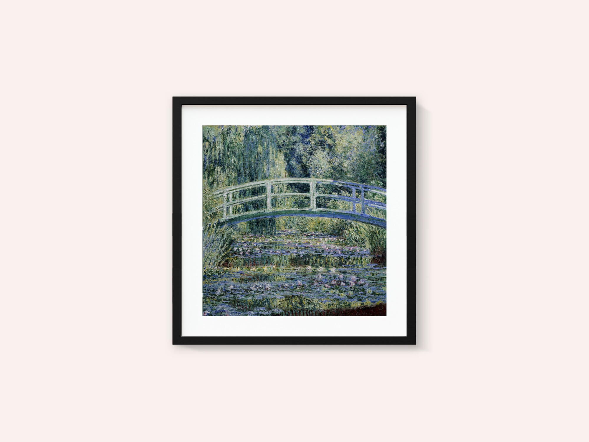Water Lily Pond