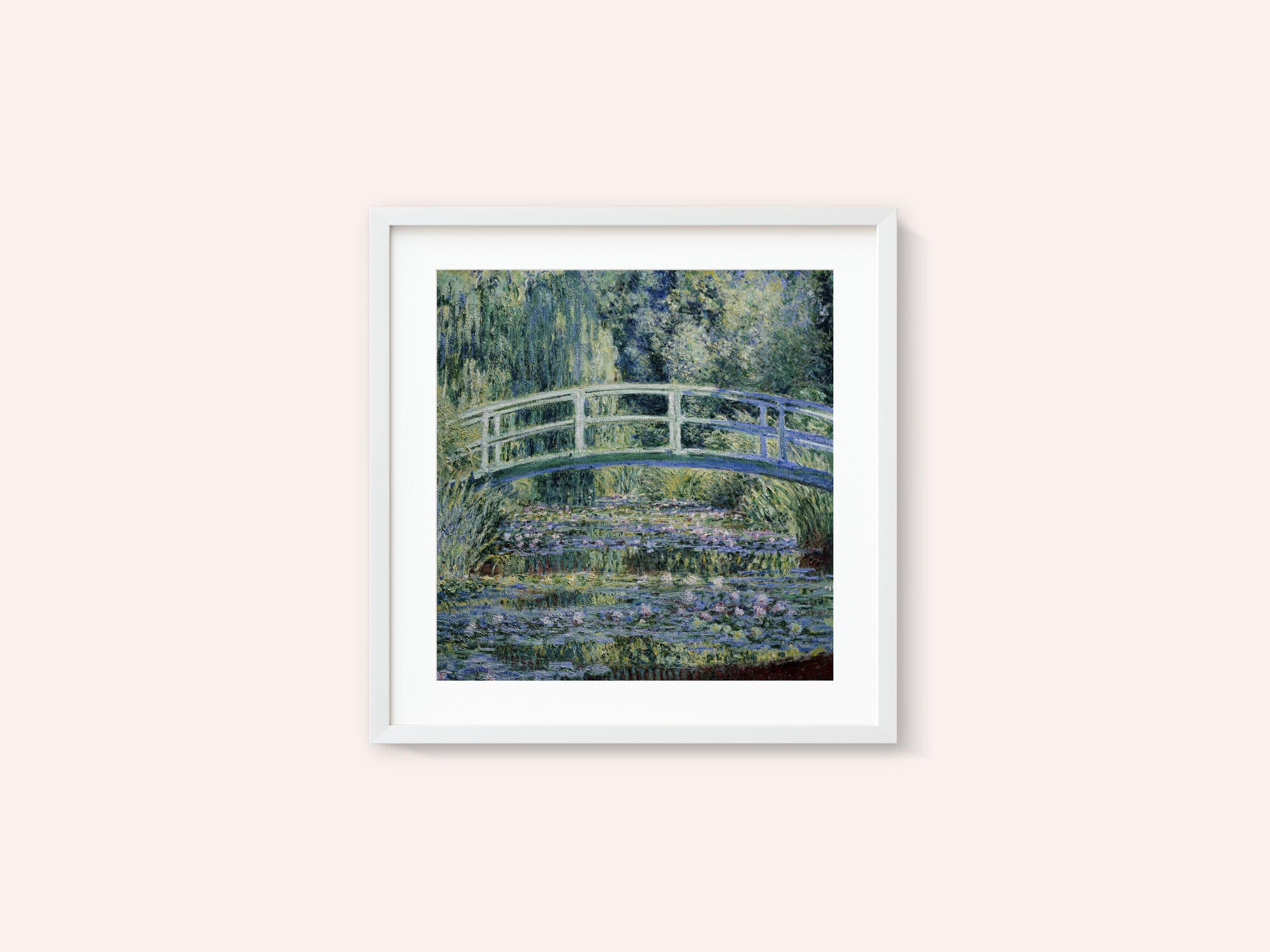 Water Lily Pond