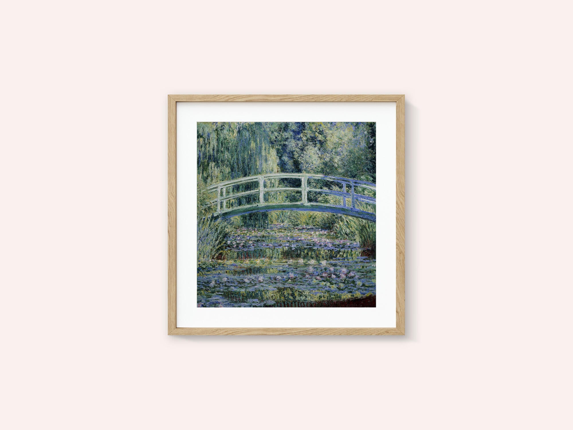 Water Lily Pond