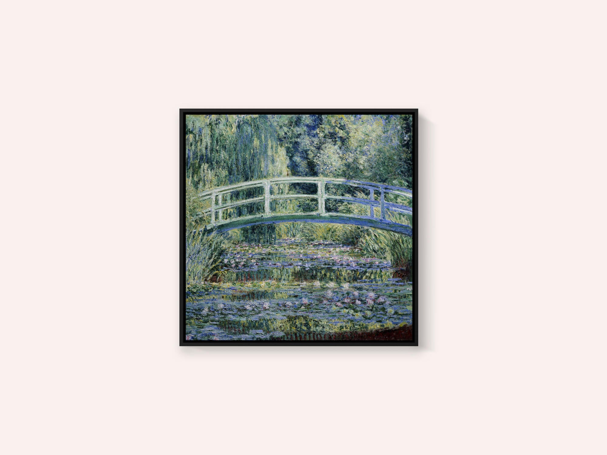 Water Lily Pond