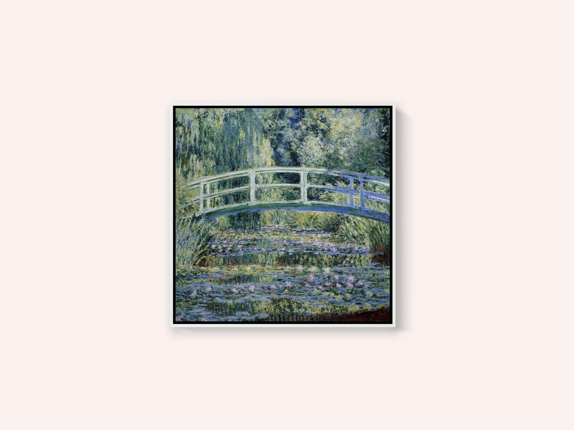 Water Lily Pond
