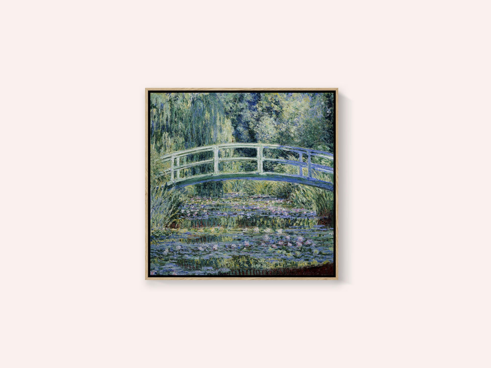 Water Lily Pond