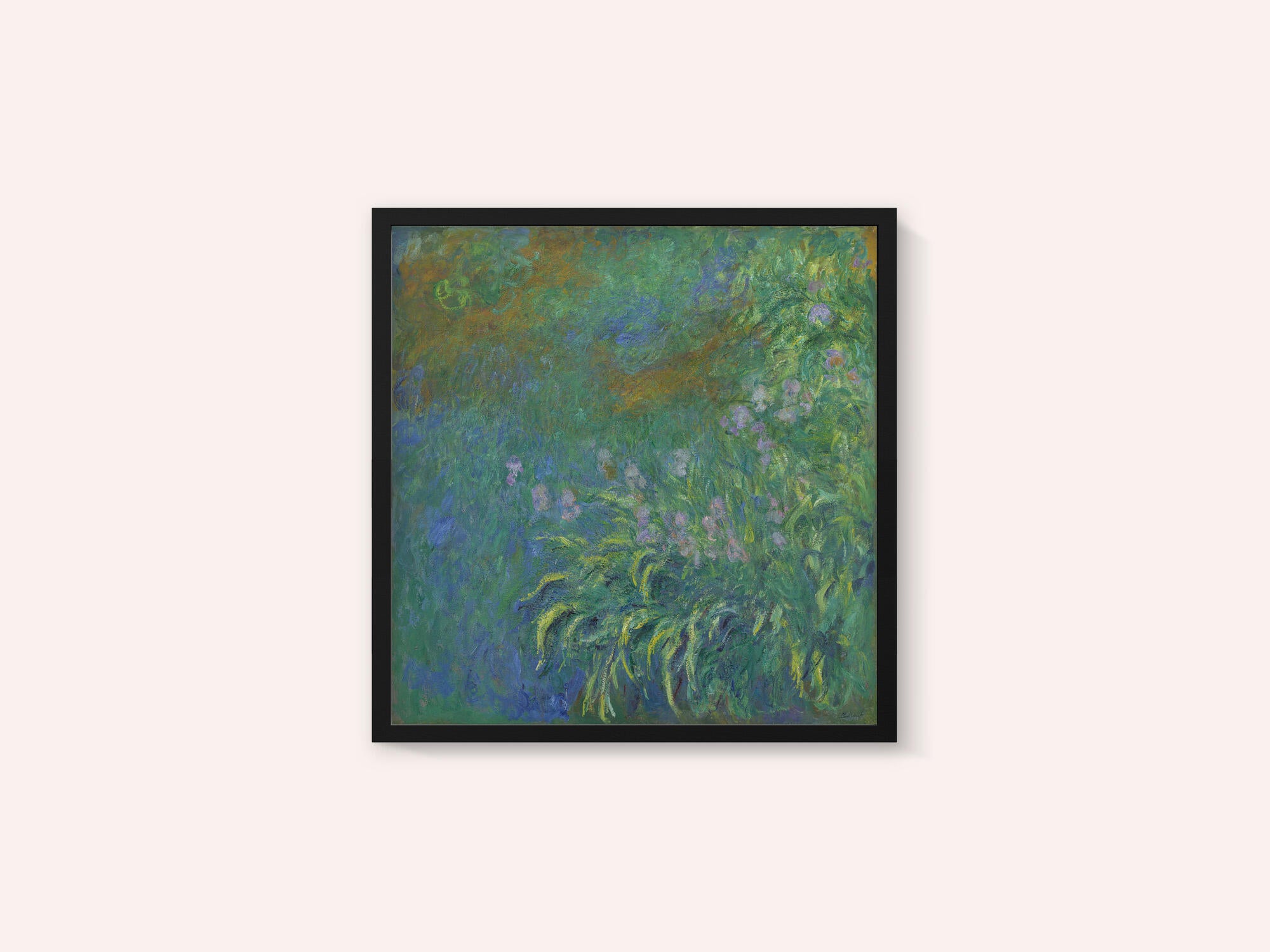 Irises By Claude Monet