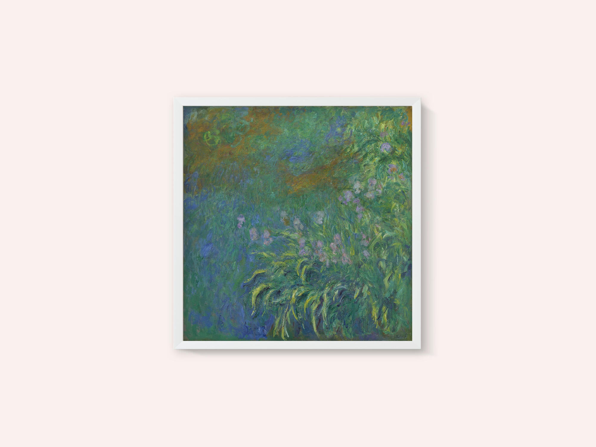 Irises By Claude Monet
