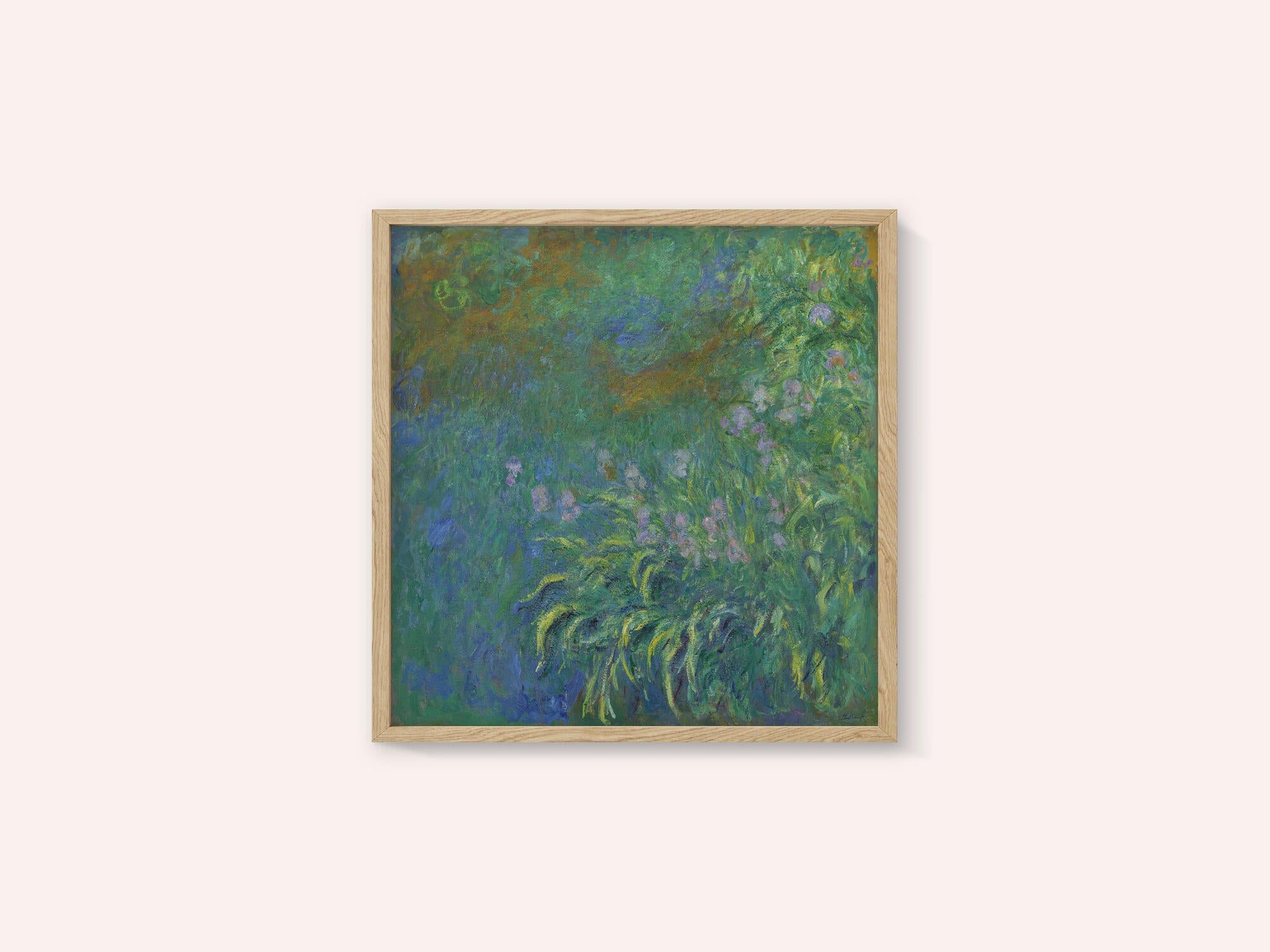 Irises By Claude Monet