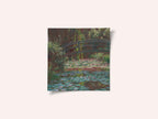 Water Lily Pond