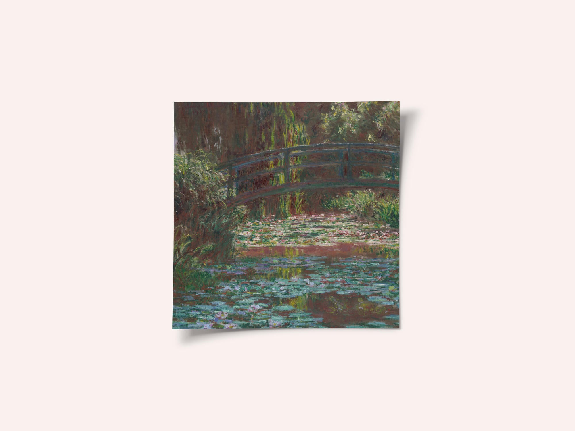 Water Lily Pond